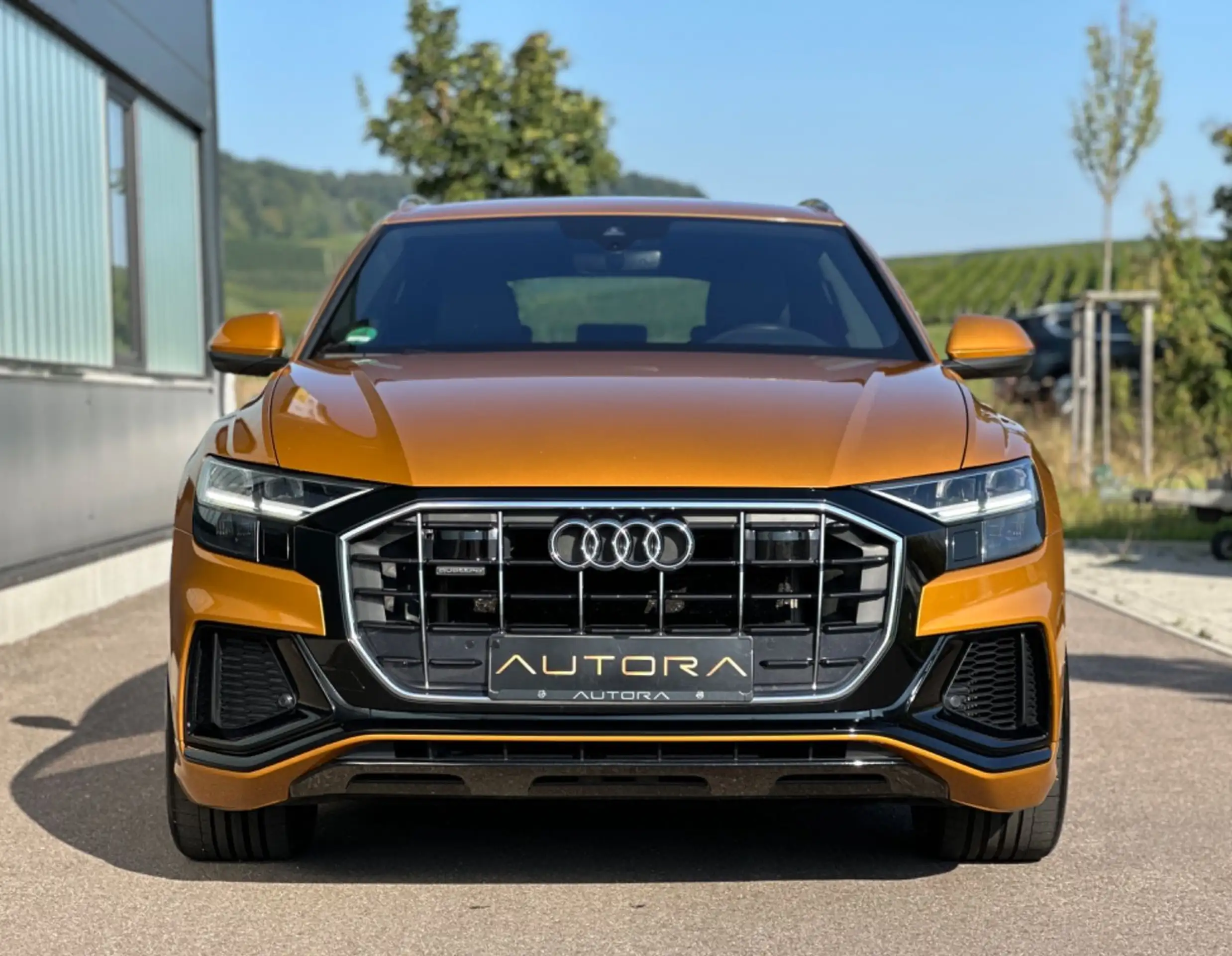 Audi - Q8