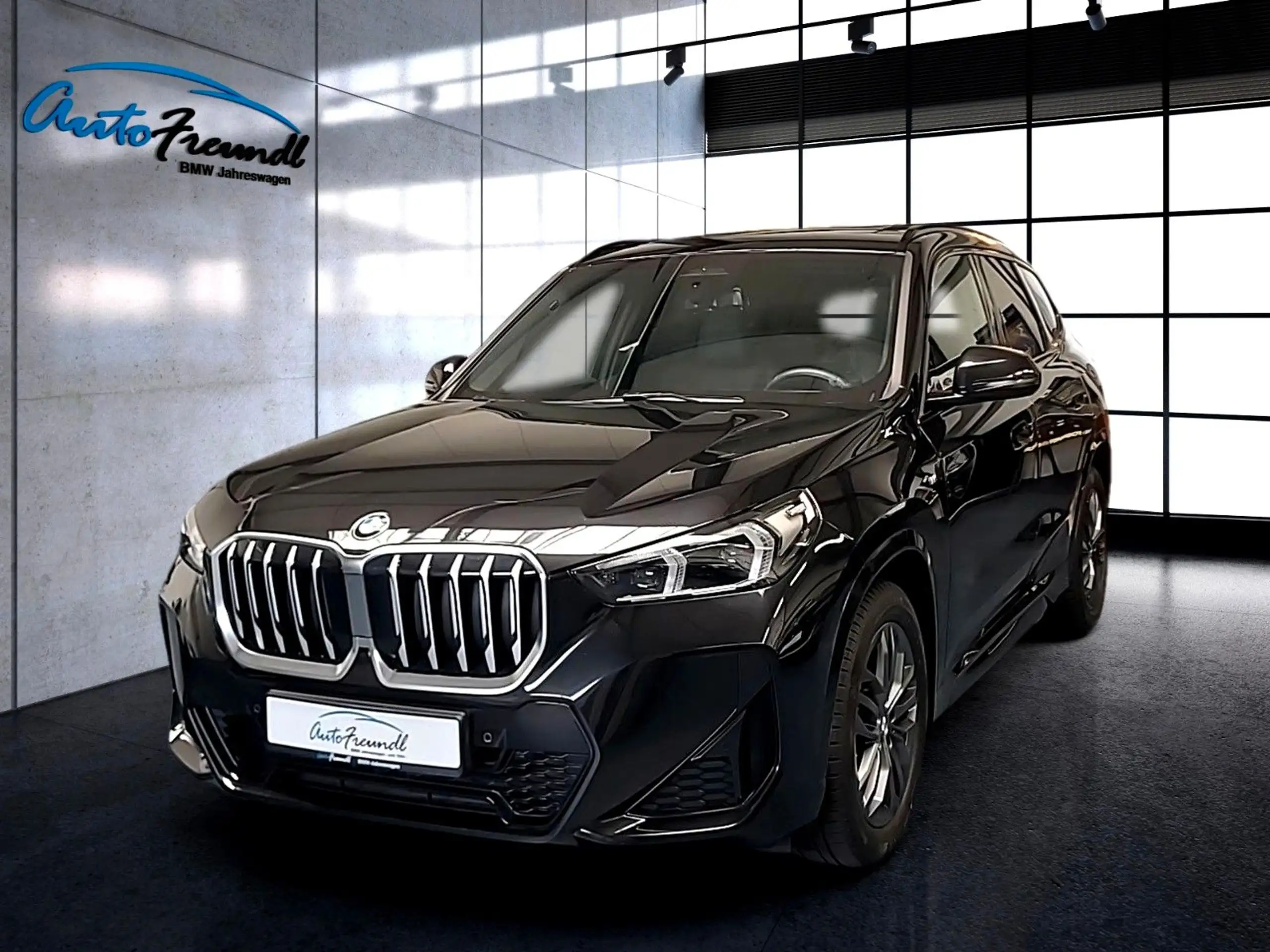 BMW - X1