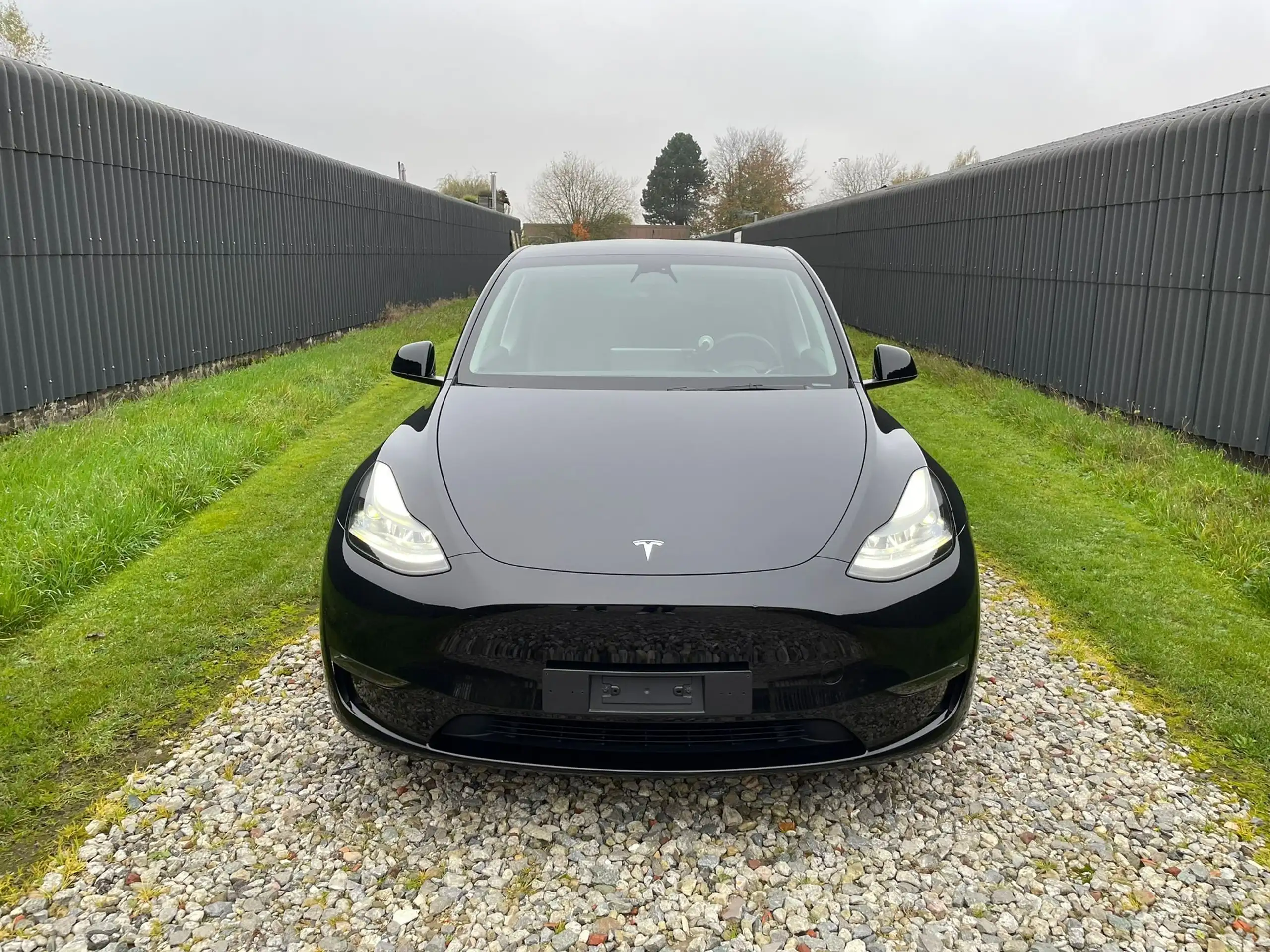 Tesla - Model Y