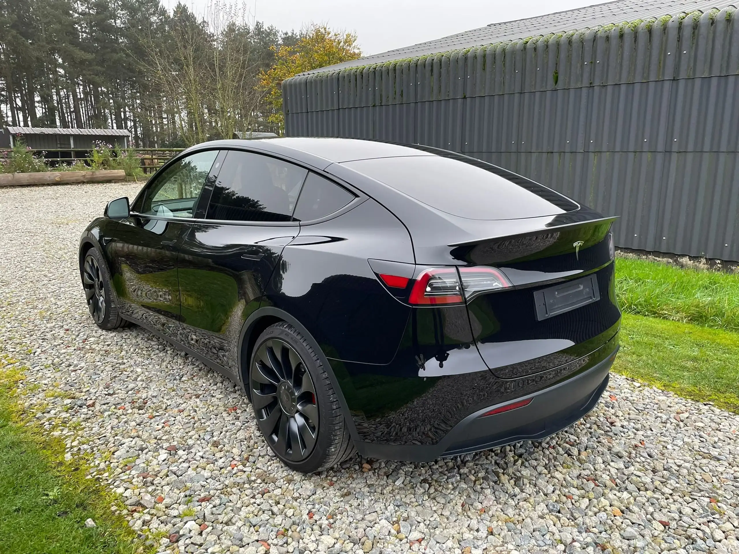 Tesla - Model Y