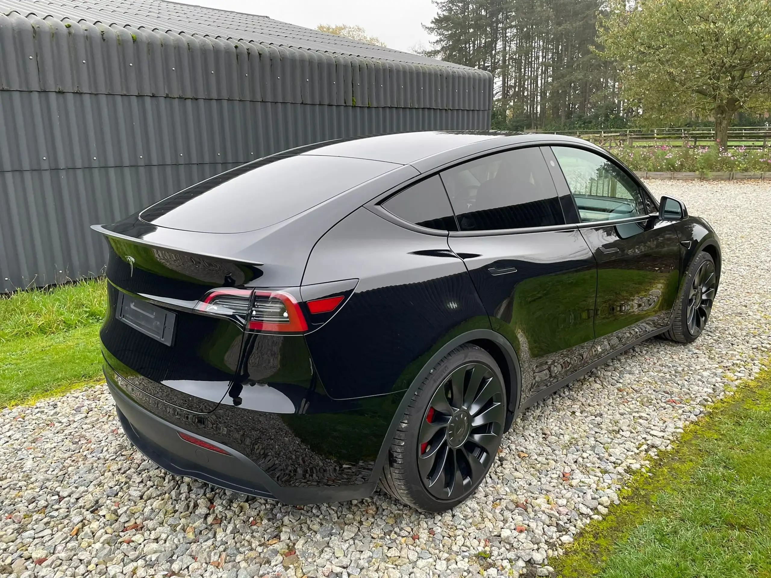 Tesla - Model Y