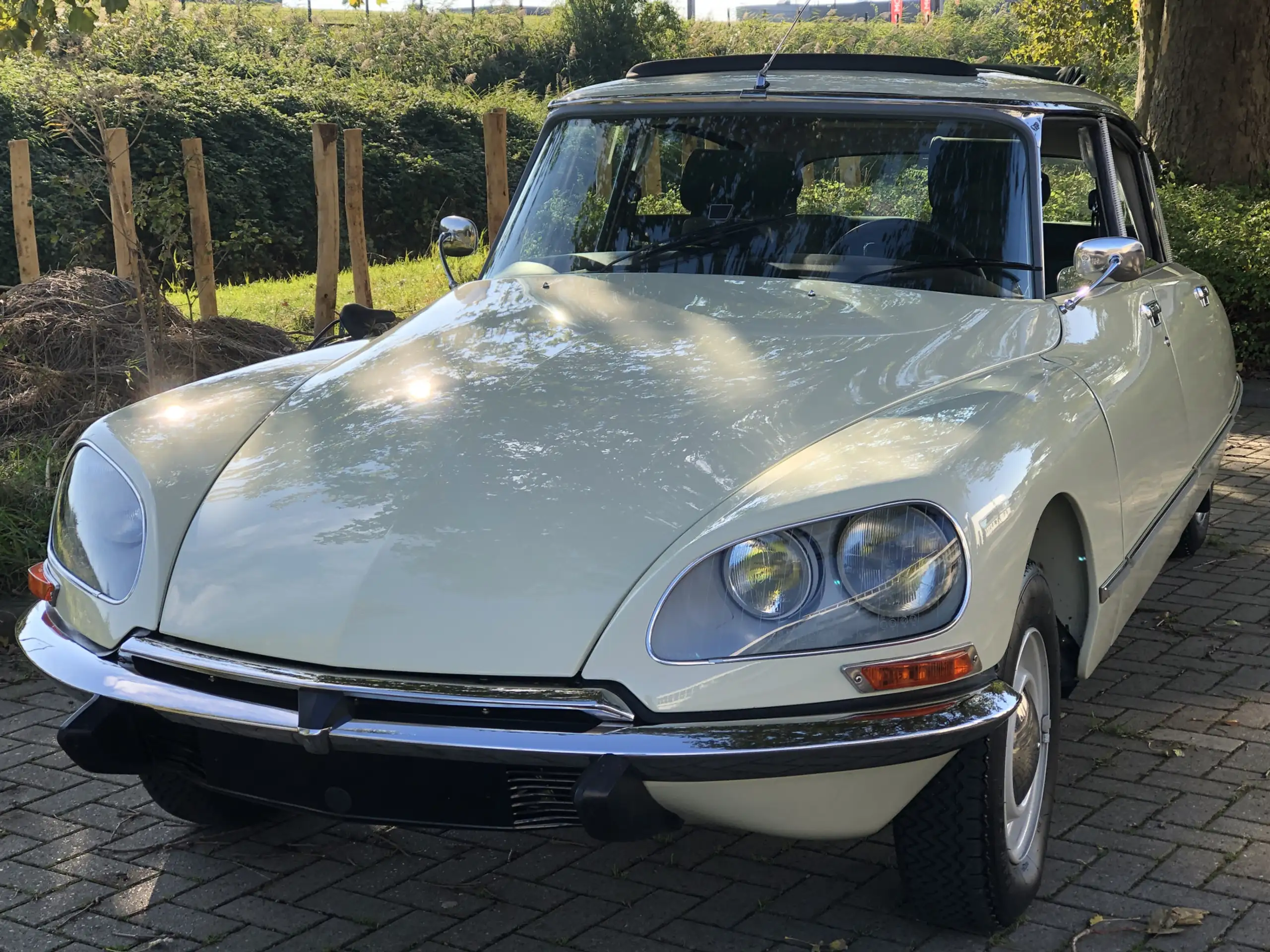 Citroen - DS