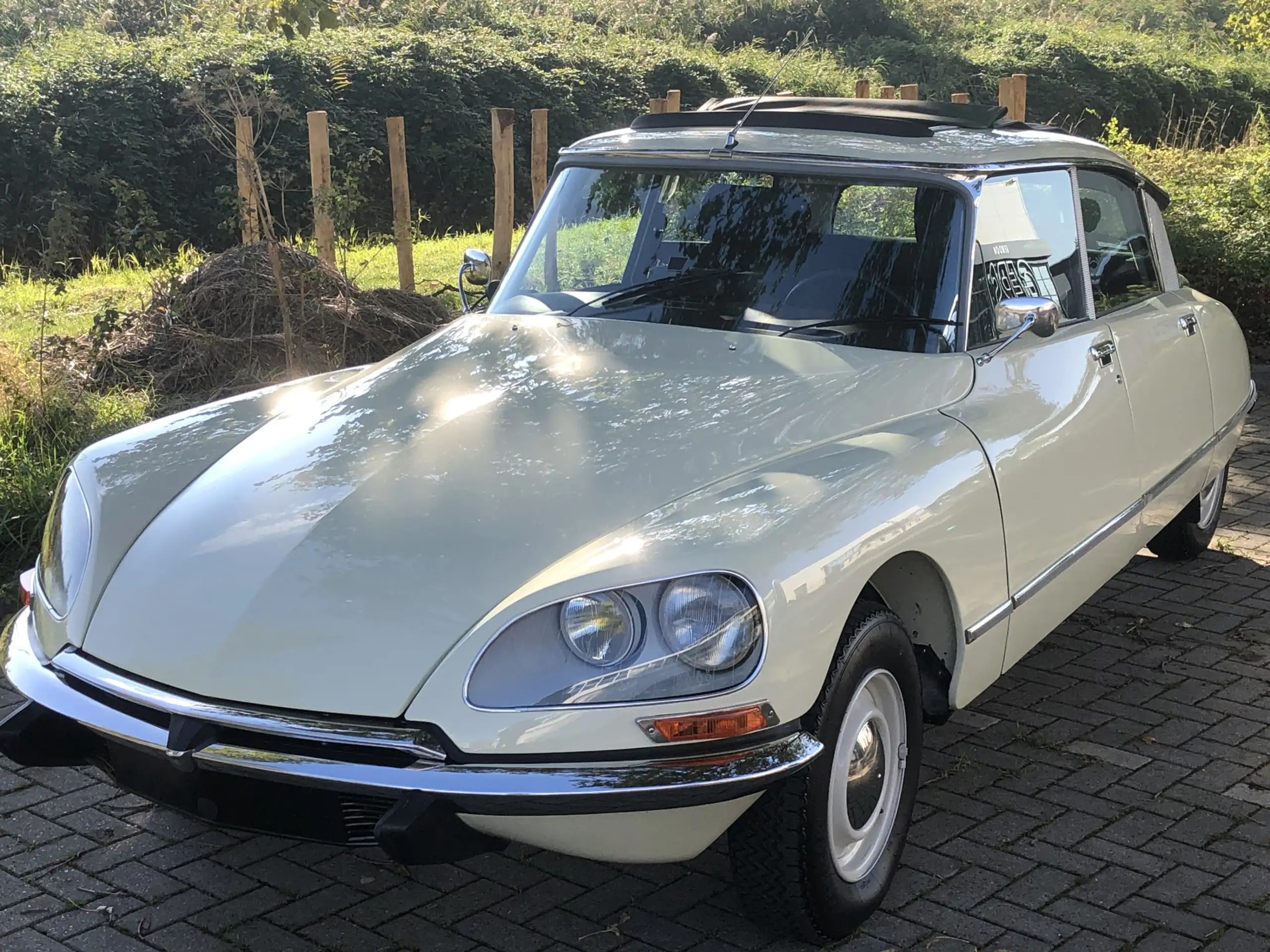 Citroen - DS