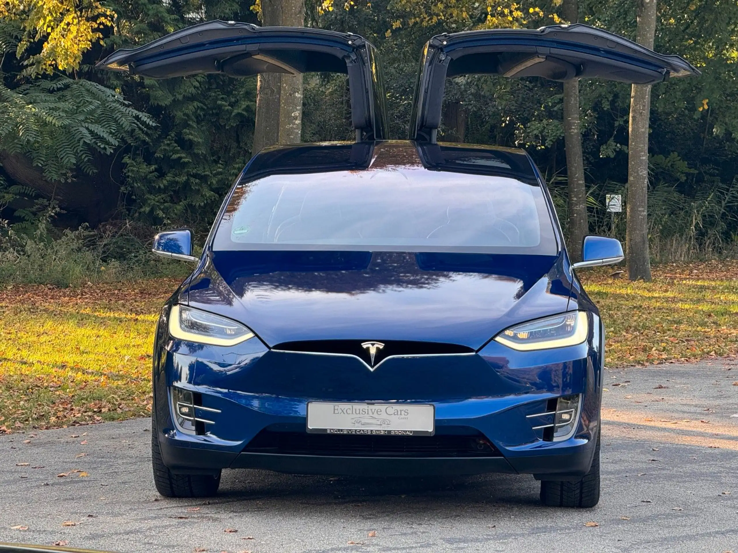 Tesla - Model X