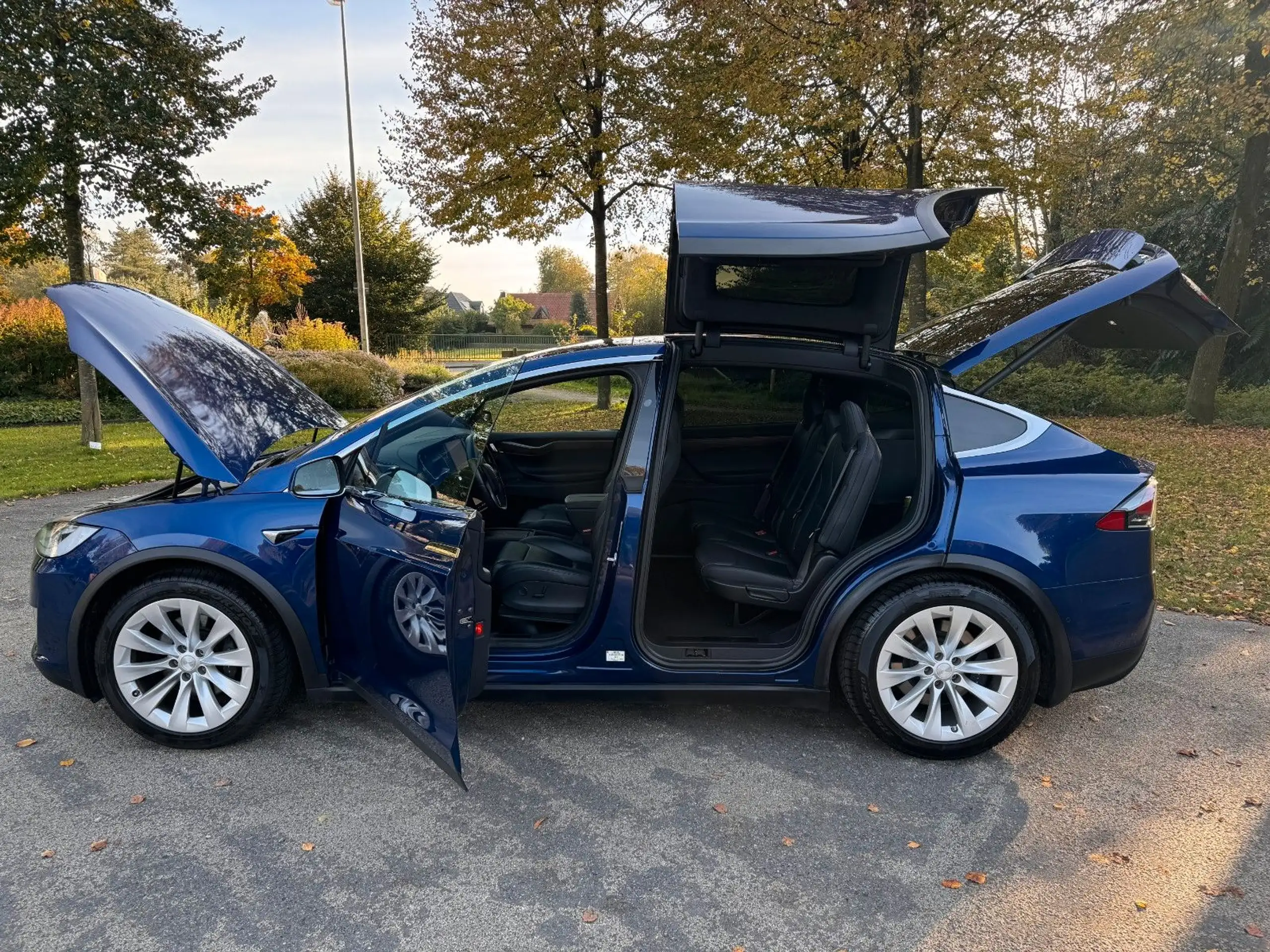 Tesla Model X 2019