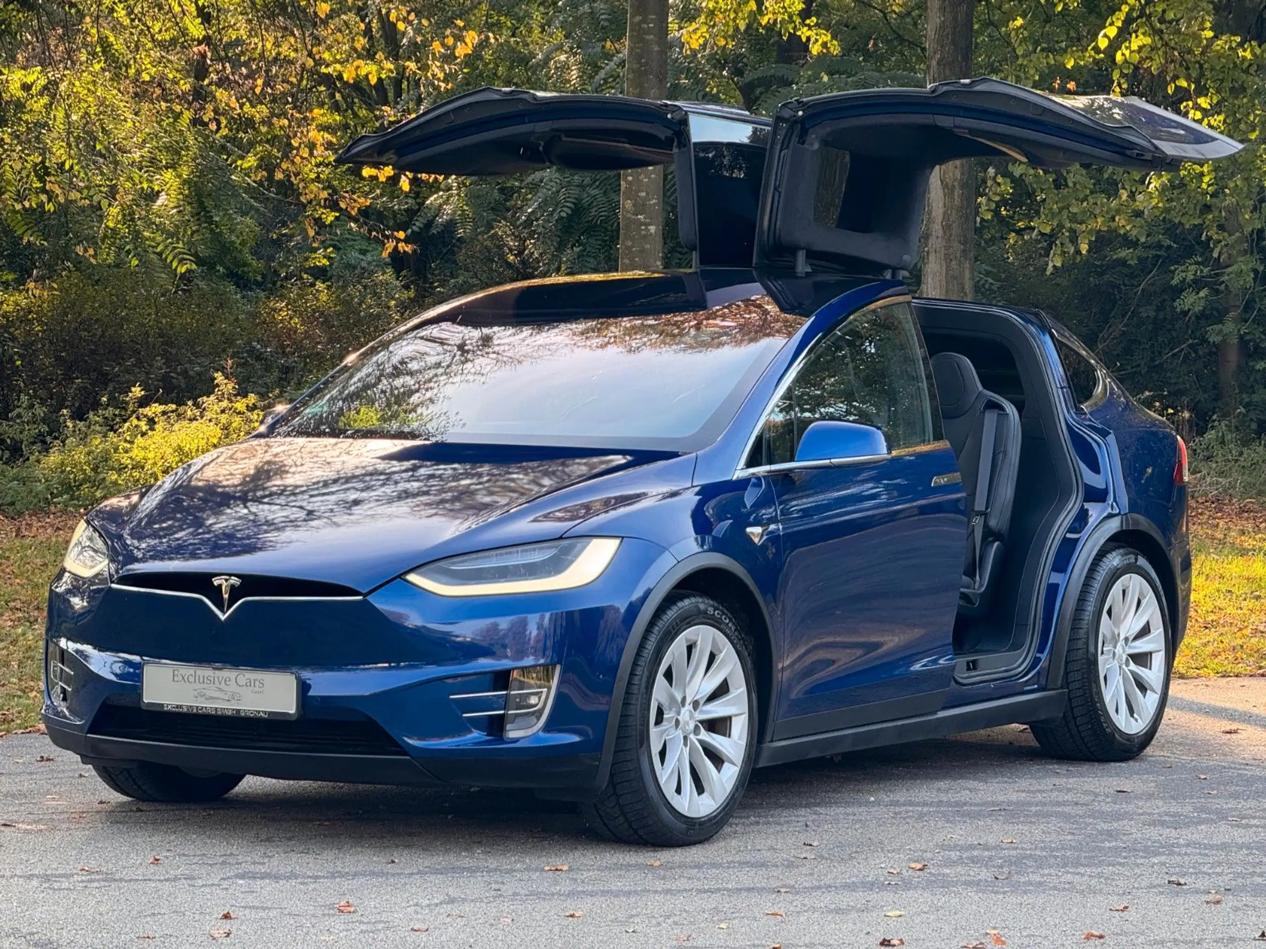 Tesla - Model X