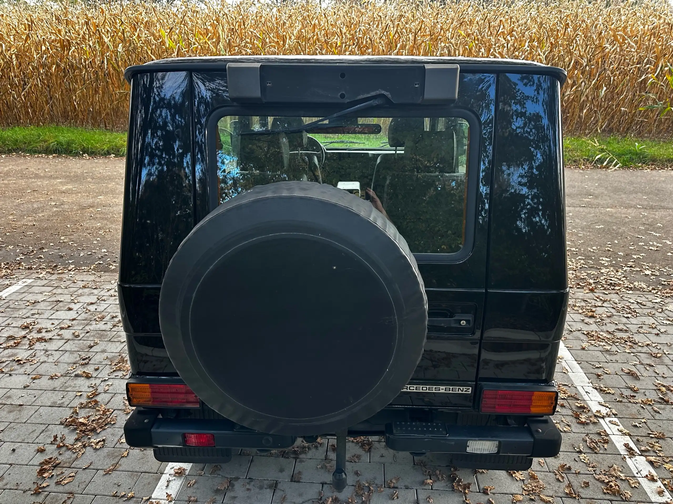 Mercedes-Benz - G 300