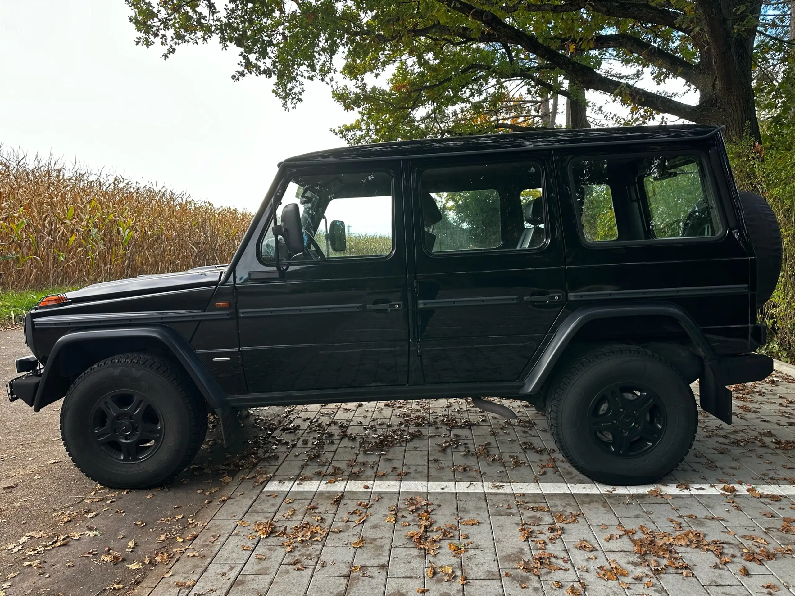 Mercedes-Benz - G 300