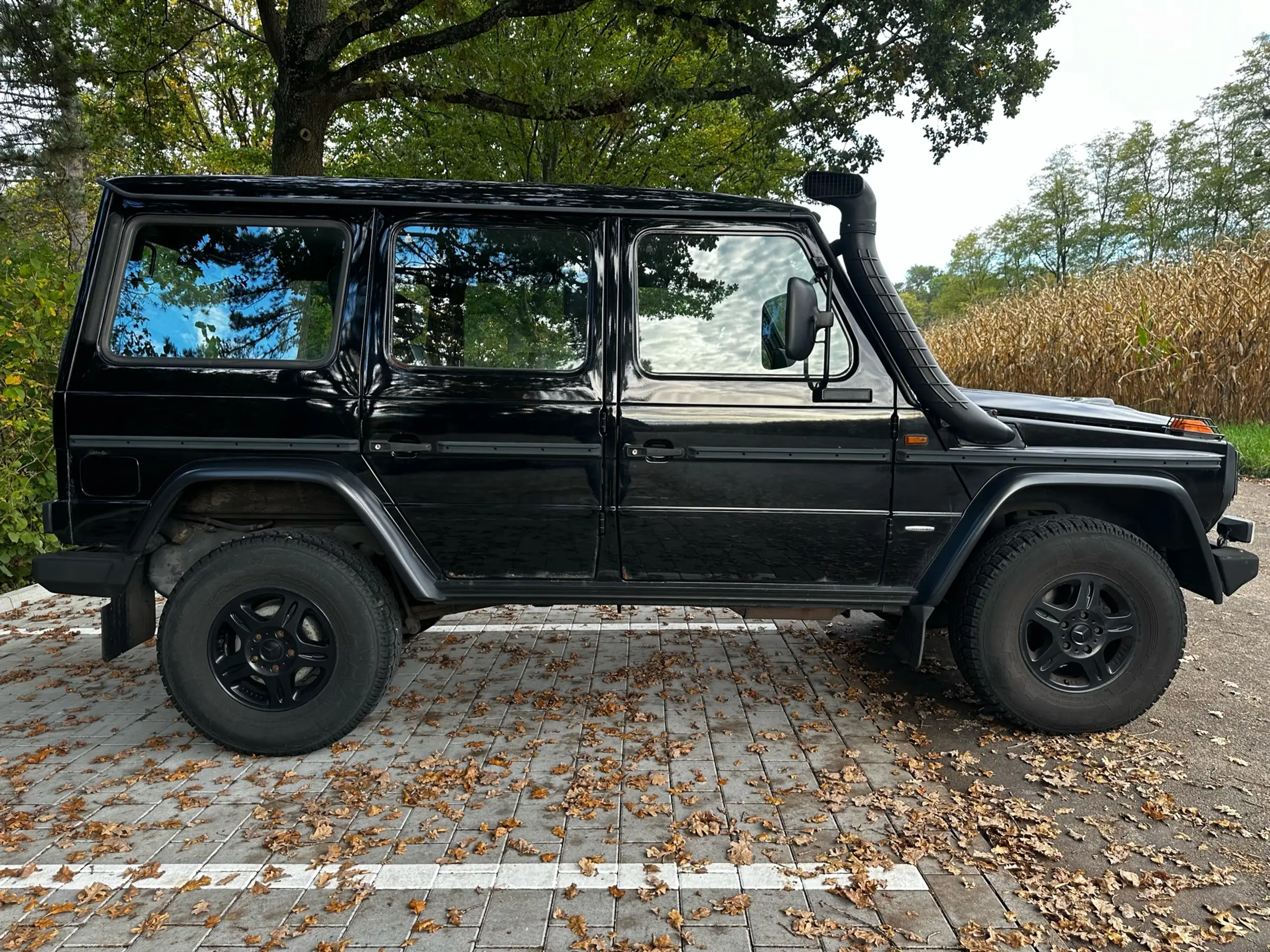 Mercedes-Benz - G 300