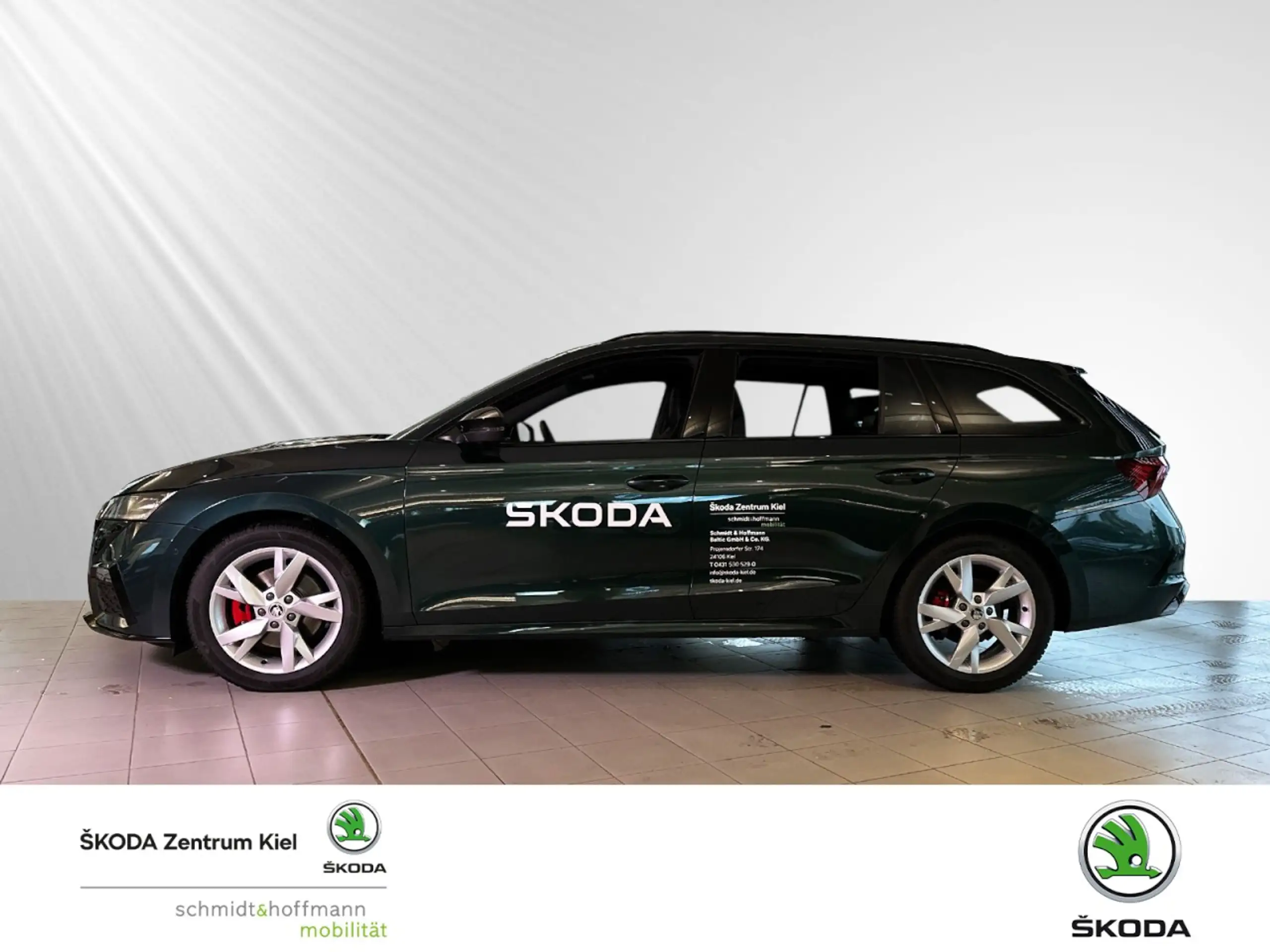 Skoda - Octavia