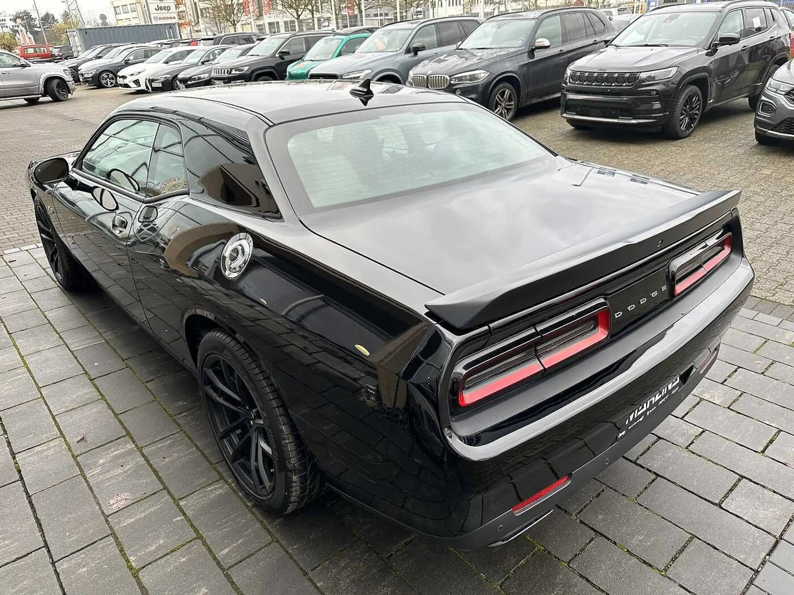 Dodge - Challenger