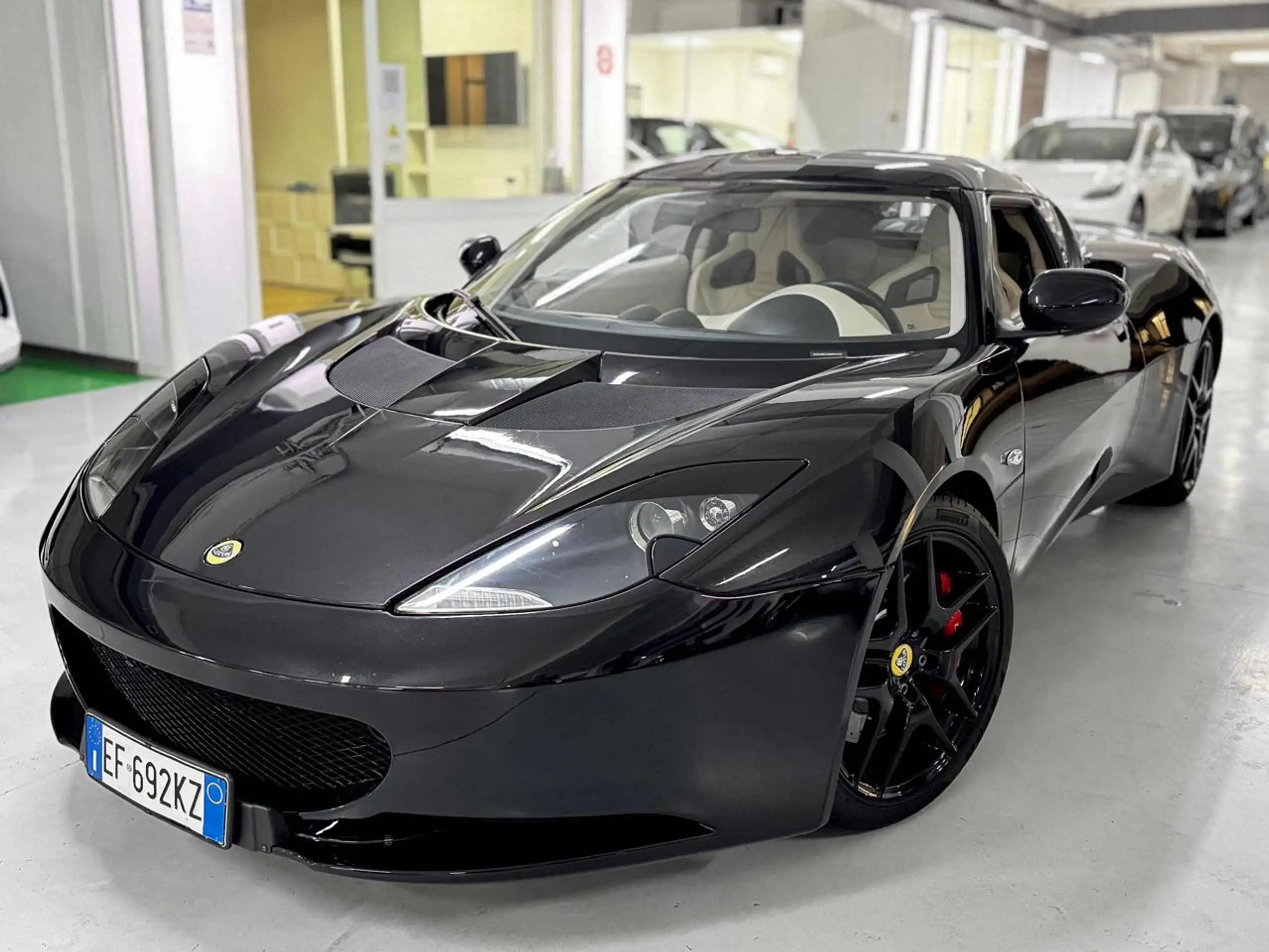 Lotus - Evora