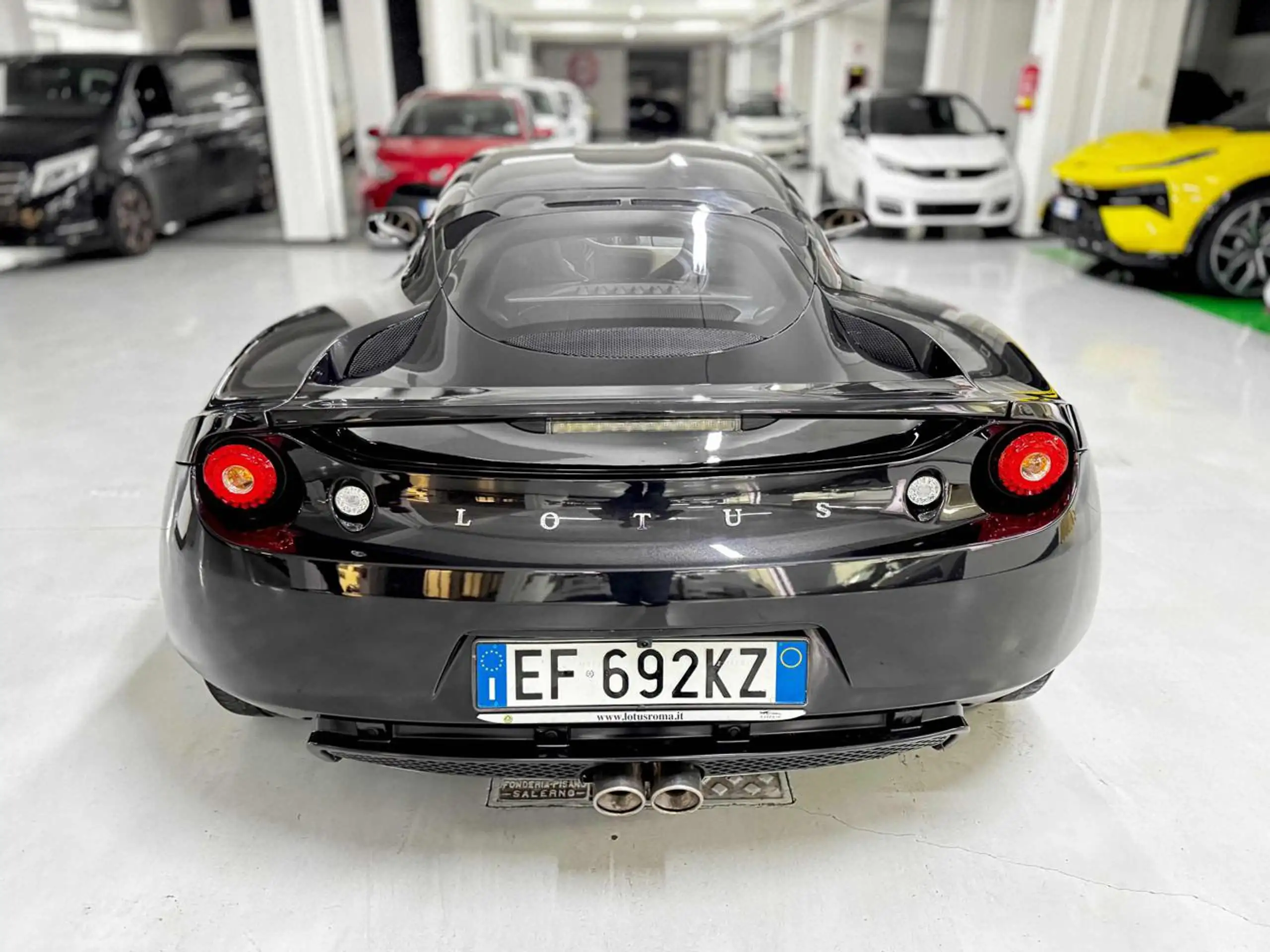 Lotus - Evora