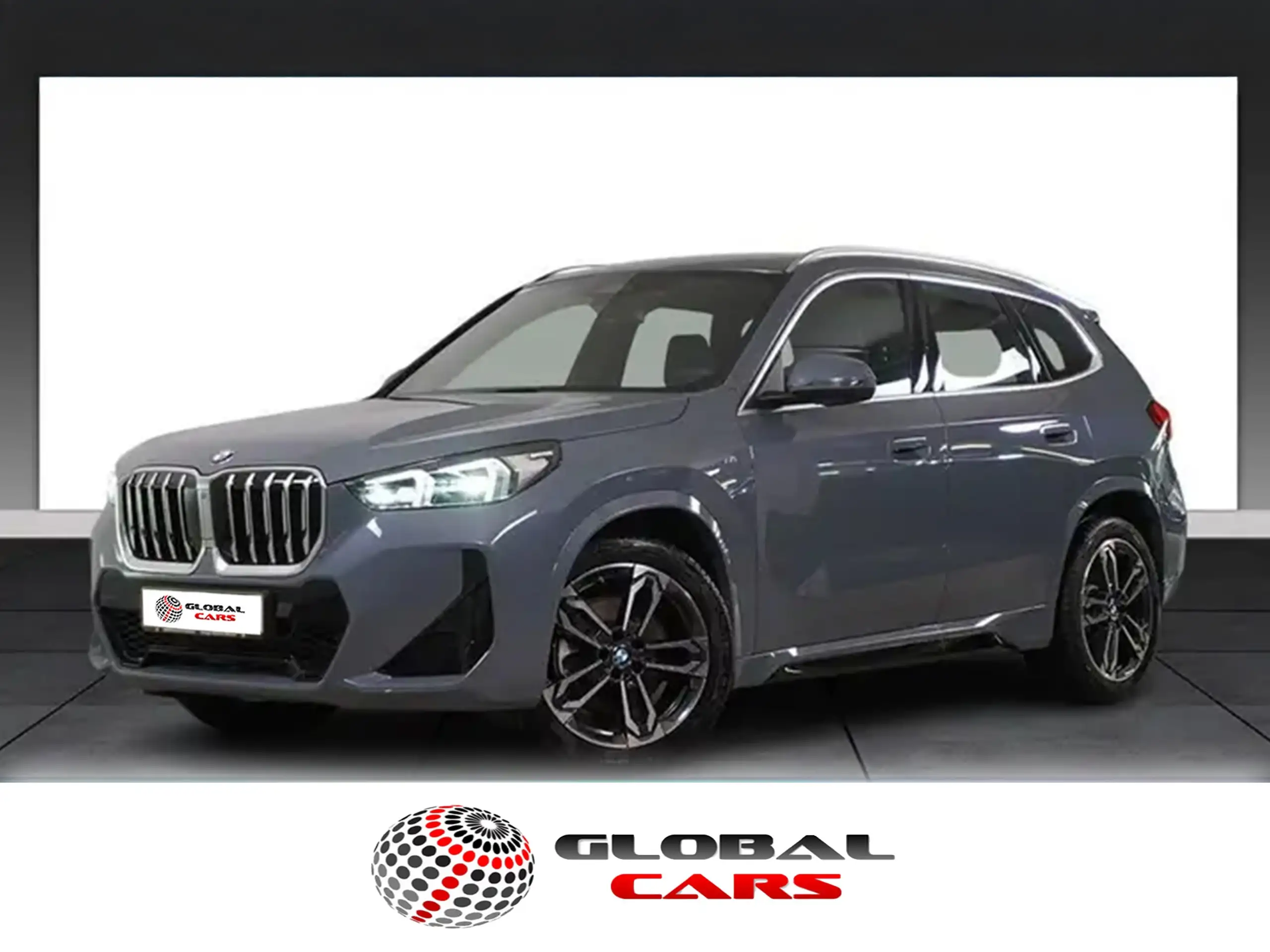 BMW - X1