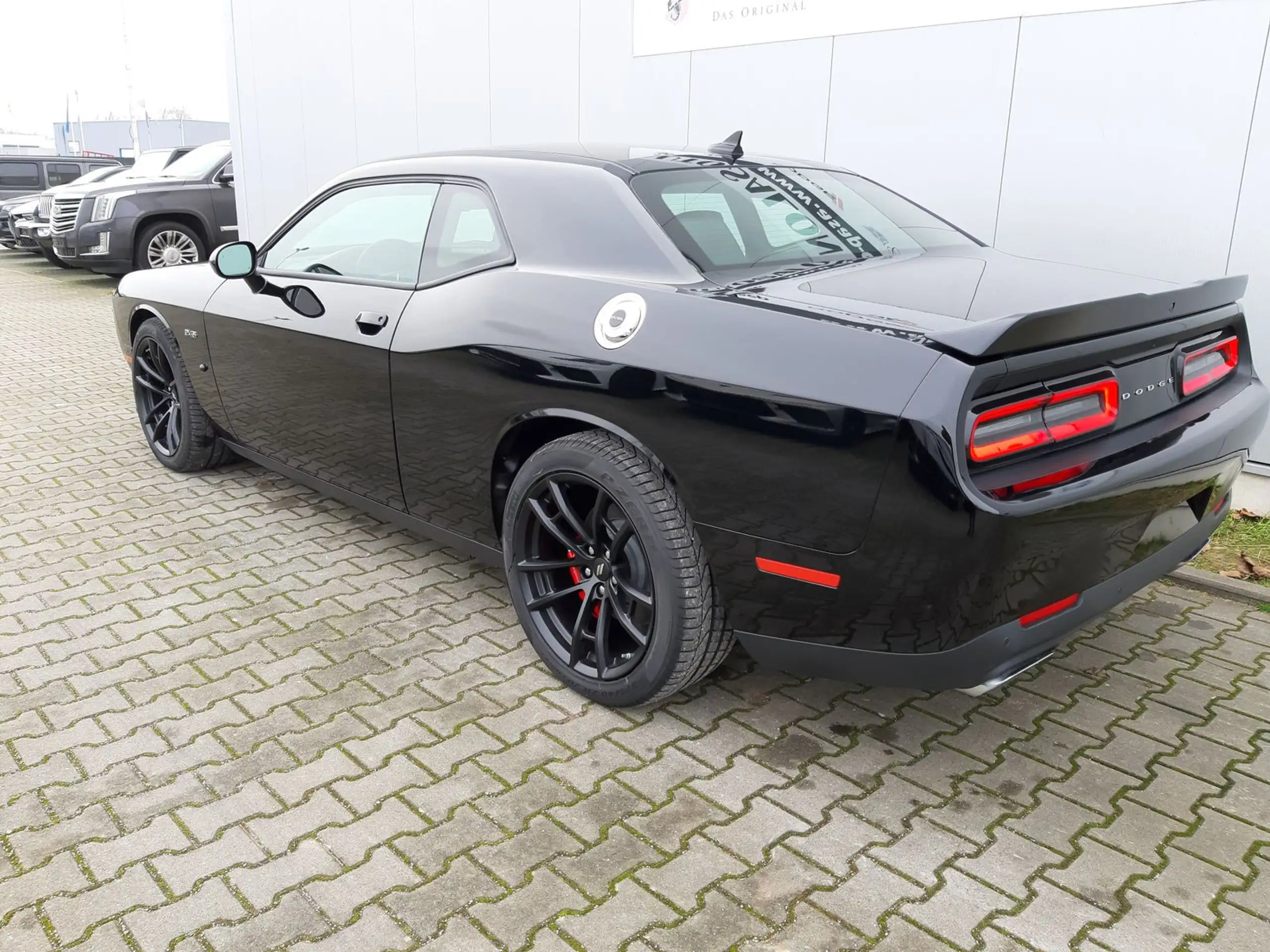 Dodge - Challenger