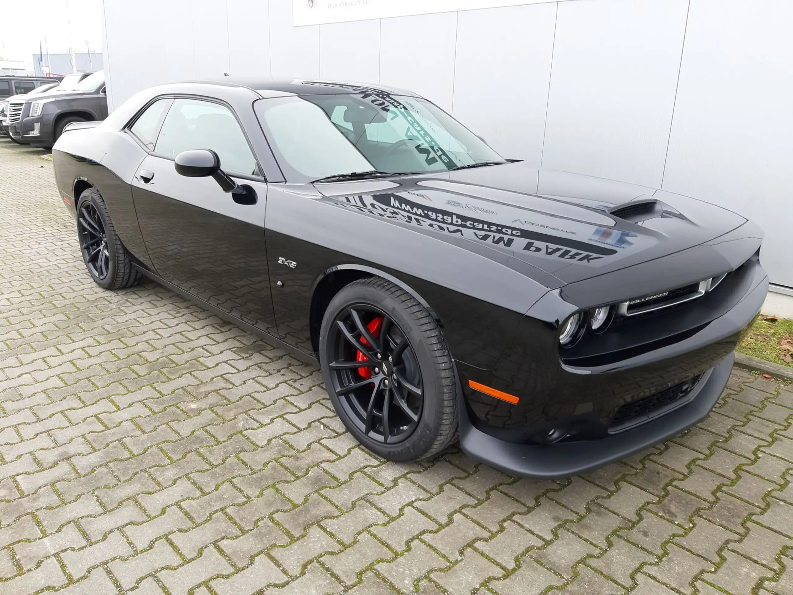 Dodge - Challenger