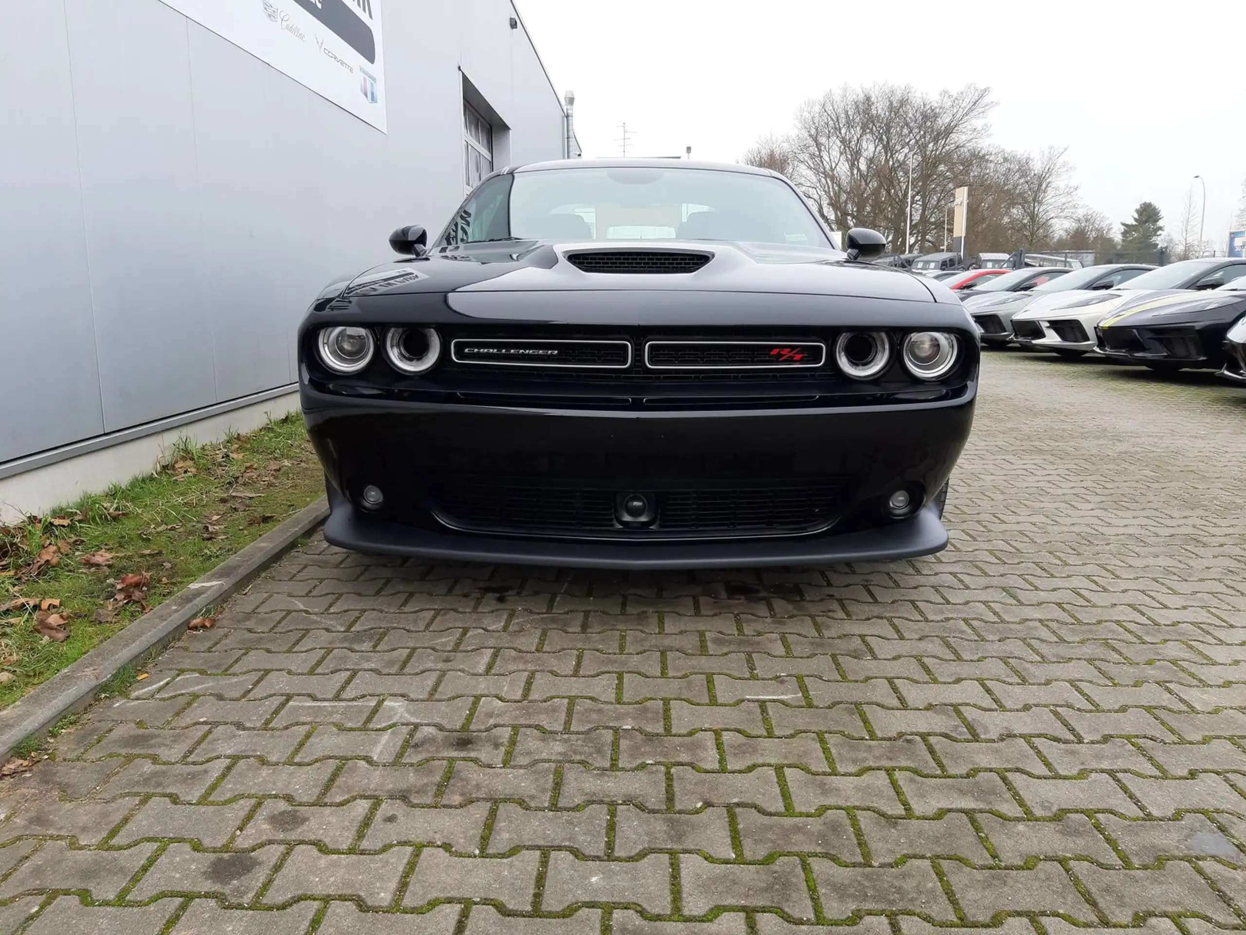 Dodge - Challenger