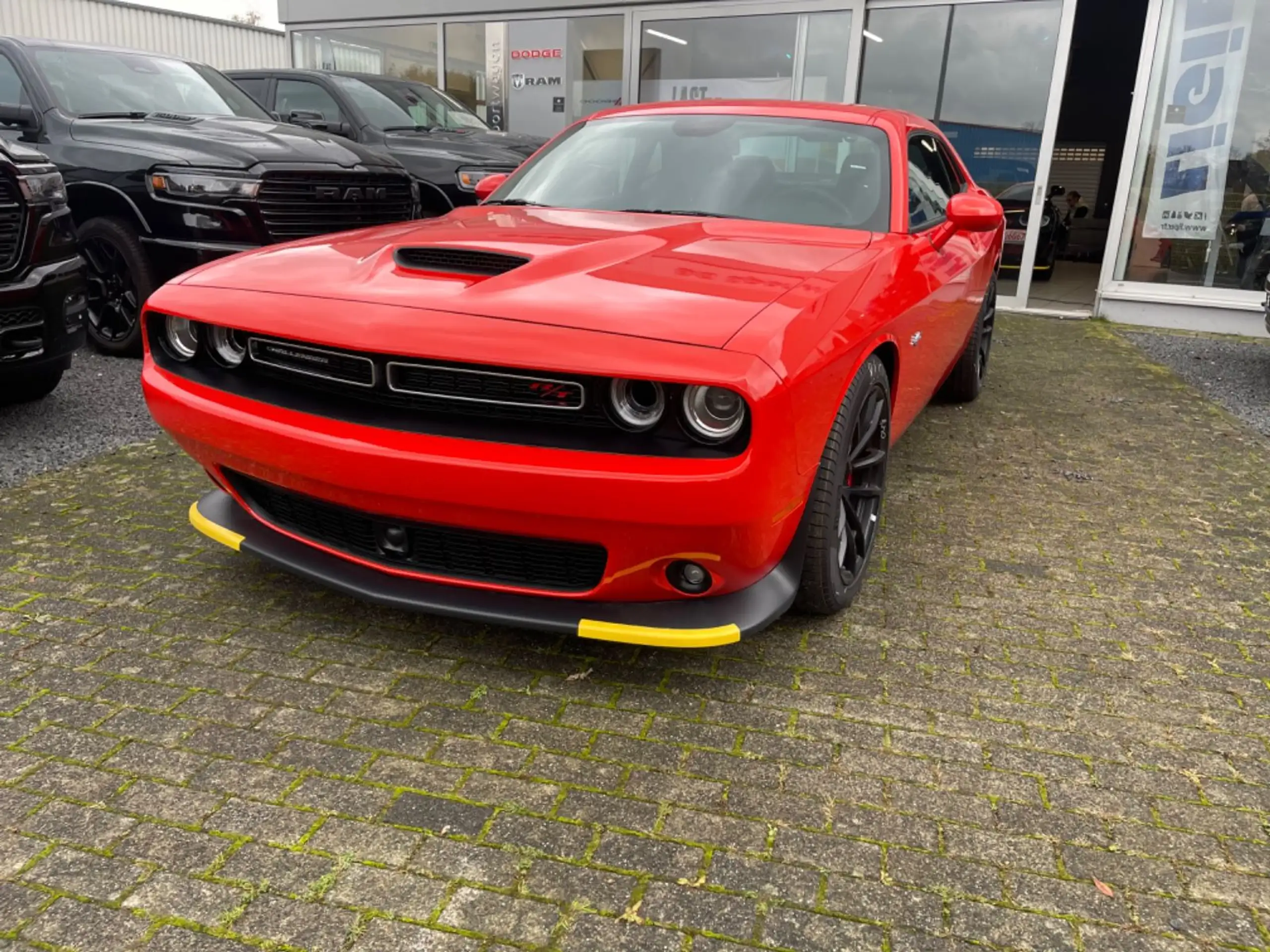 Dodge - Challenger