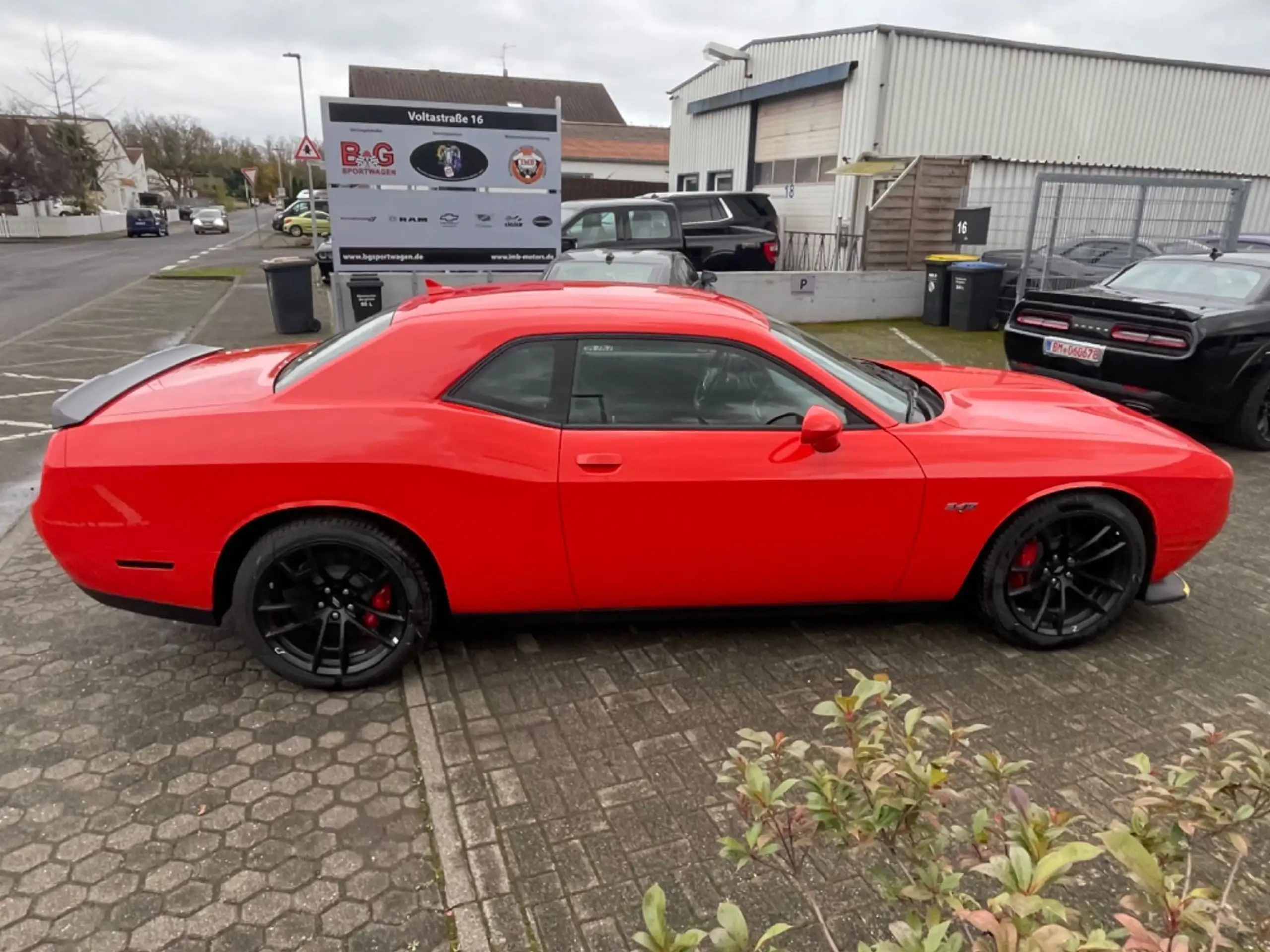 Dodge - Challenger