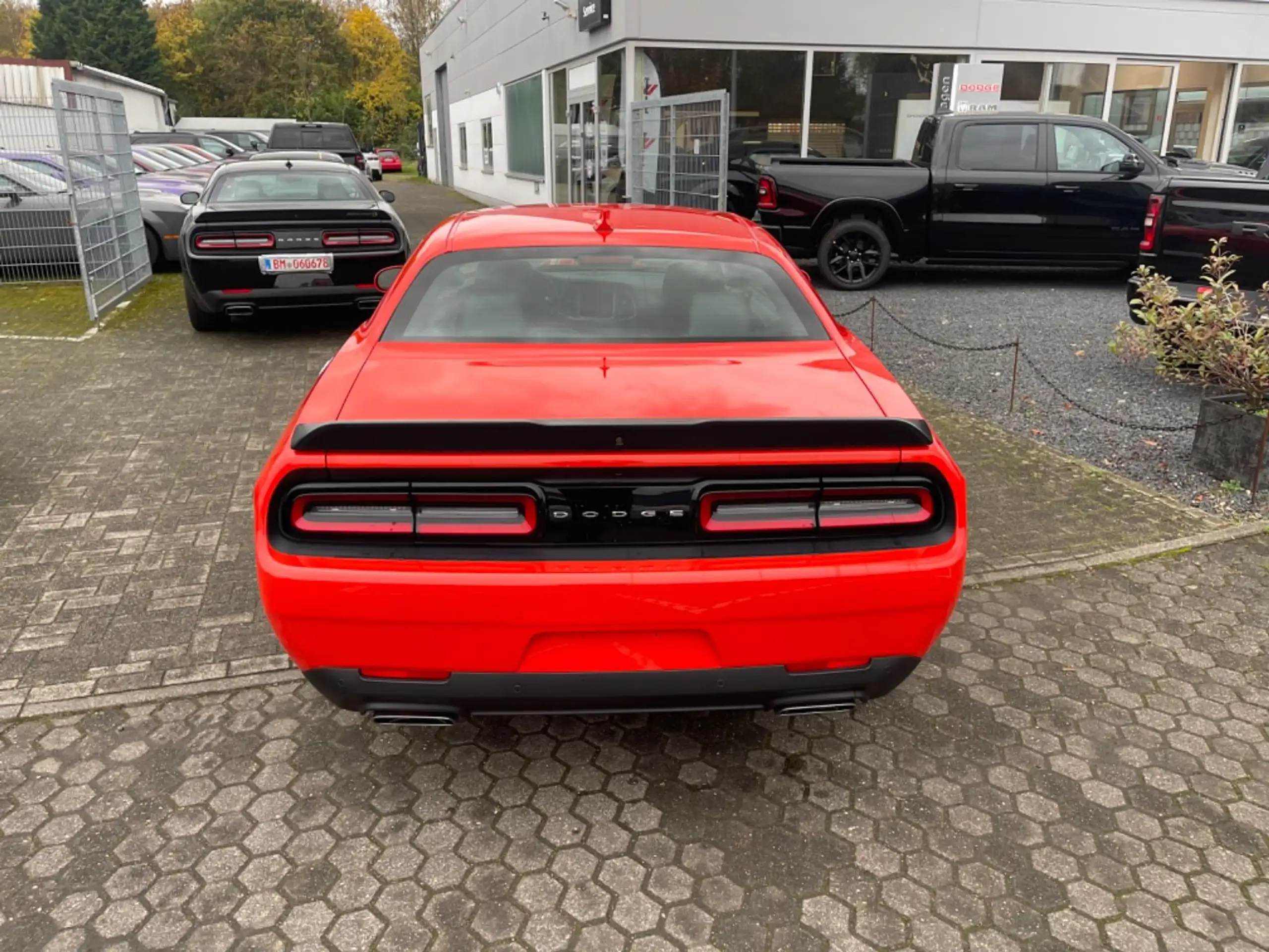 Dodge - Challenger