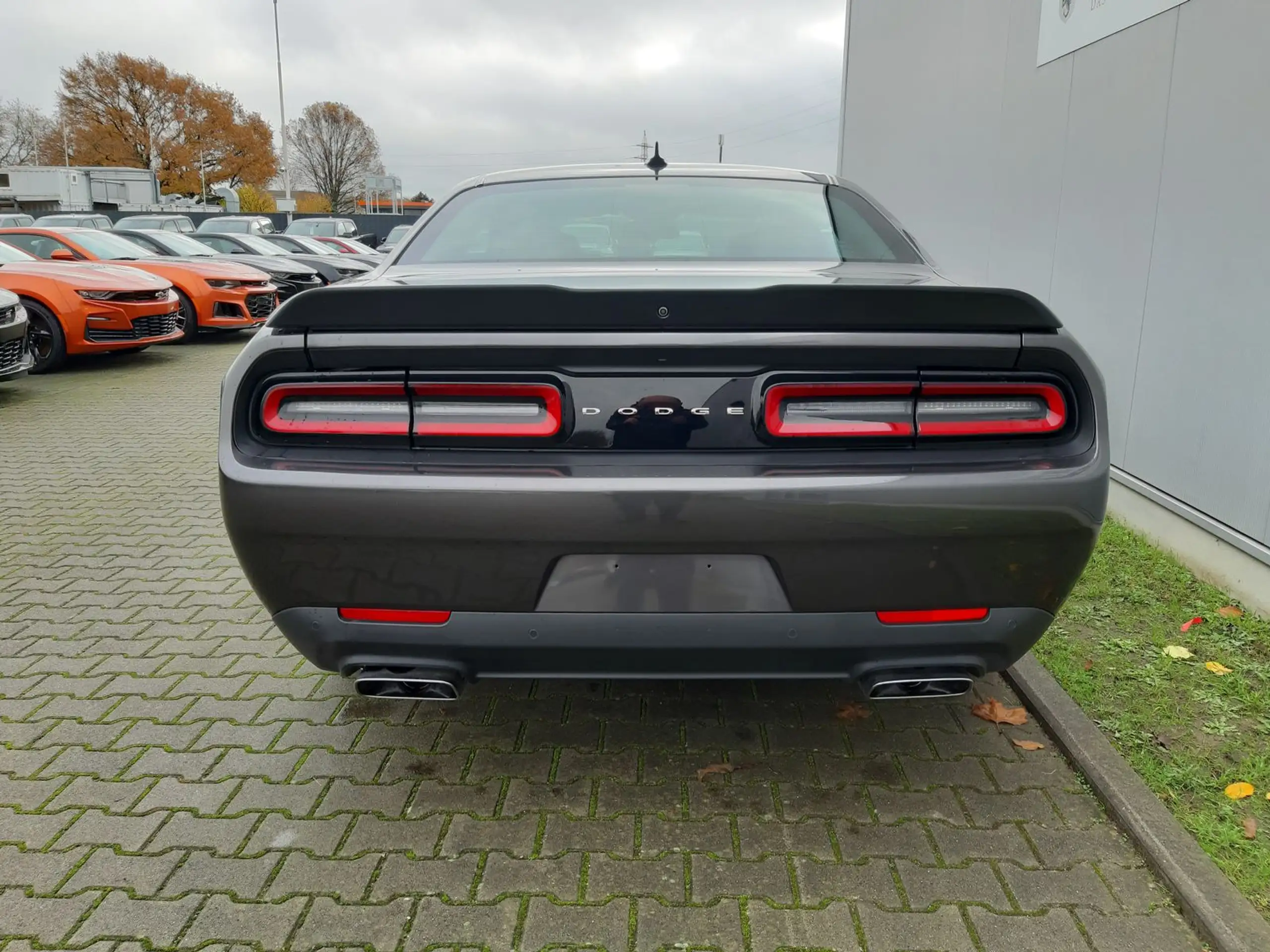 Dodge - Challenger