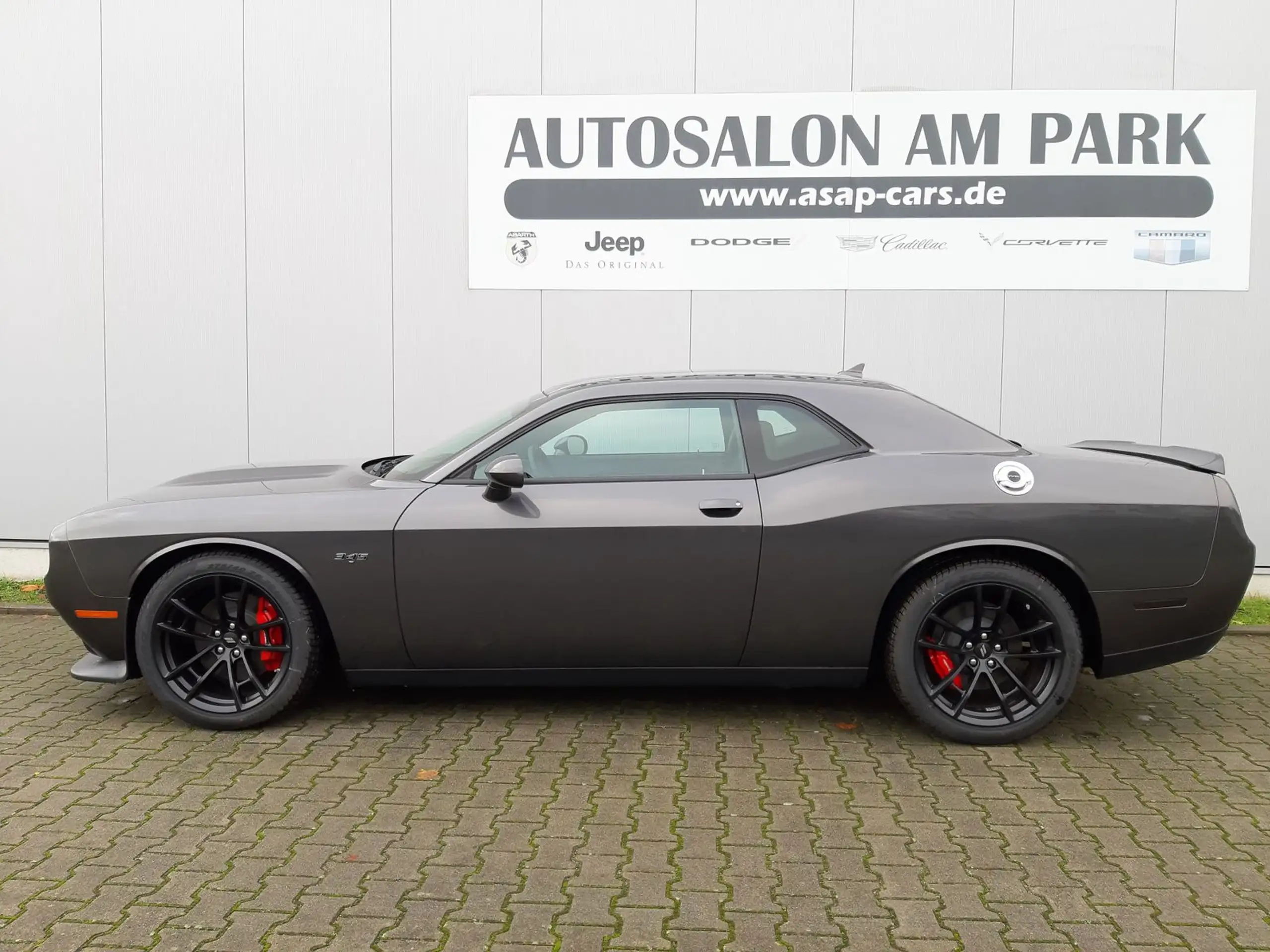 Dodge - Challenger