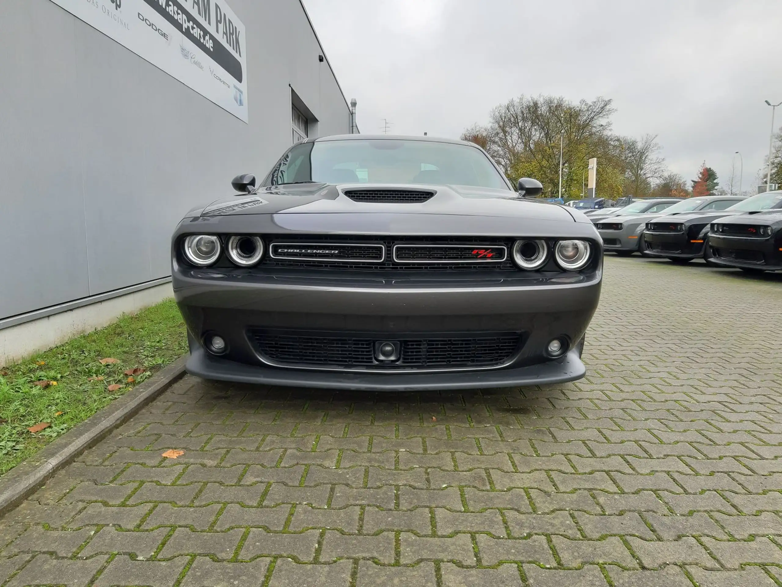 Dodge - Challenger