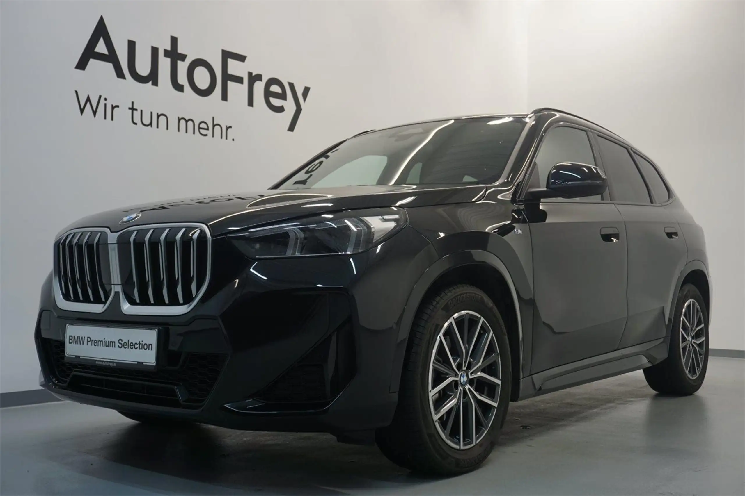 BMW - X1