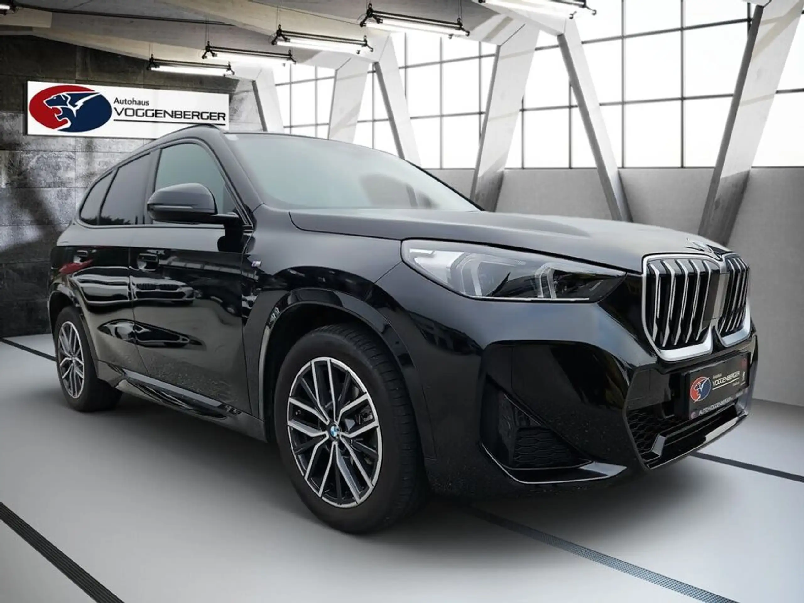 BMW - X1