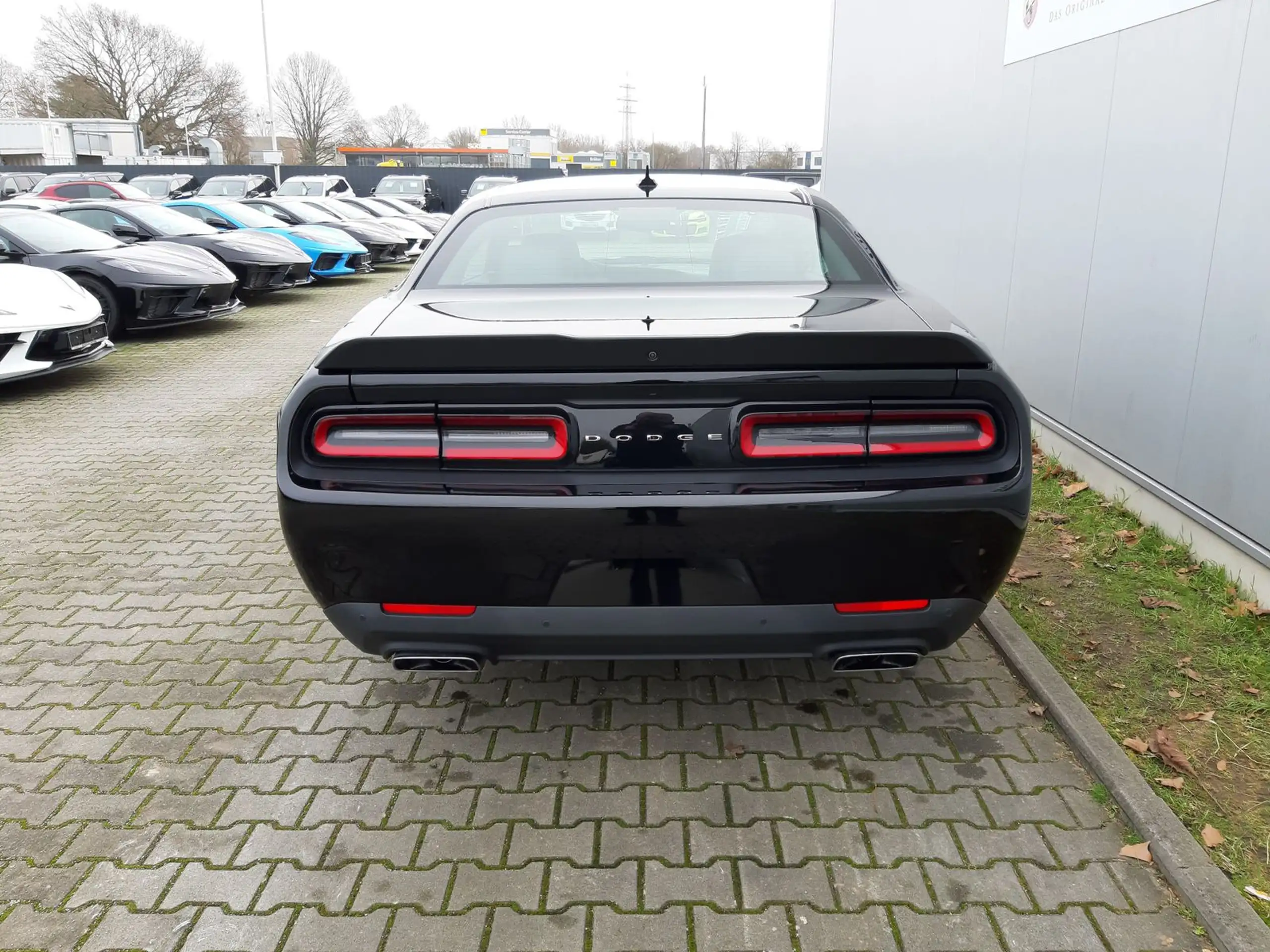 Dodge - Challenger