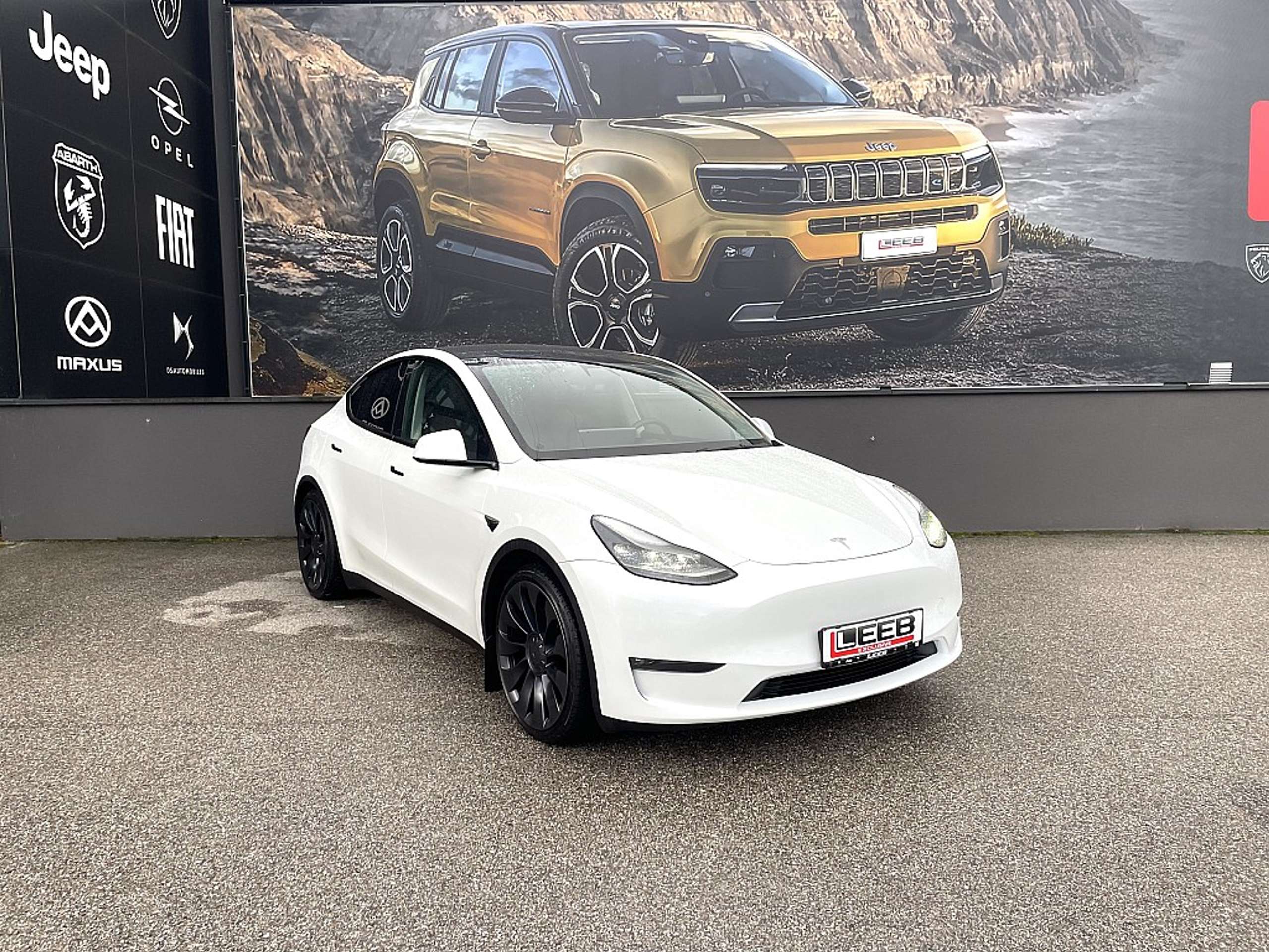 Tesla - Model Y