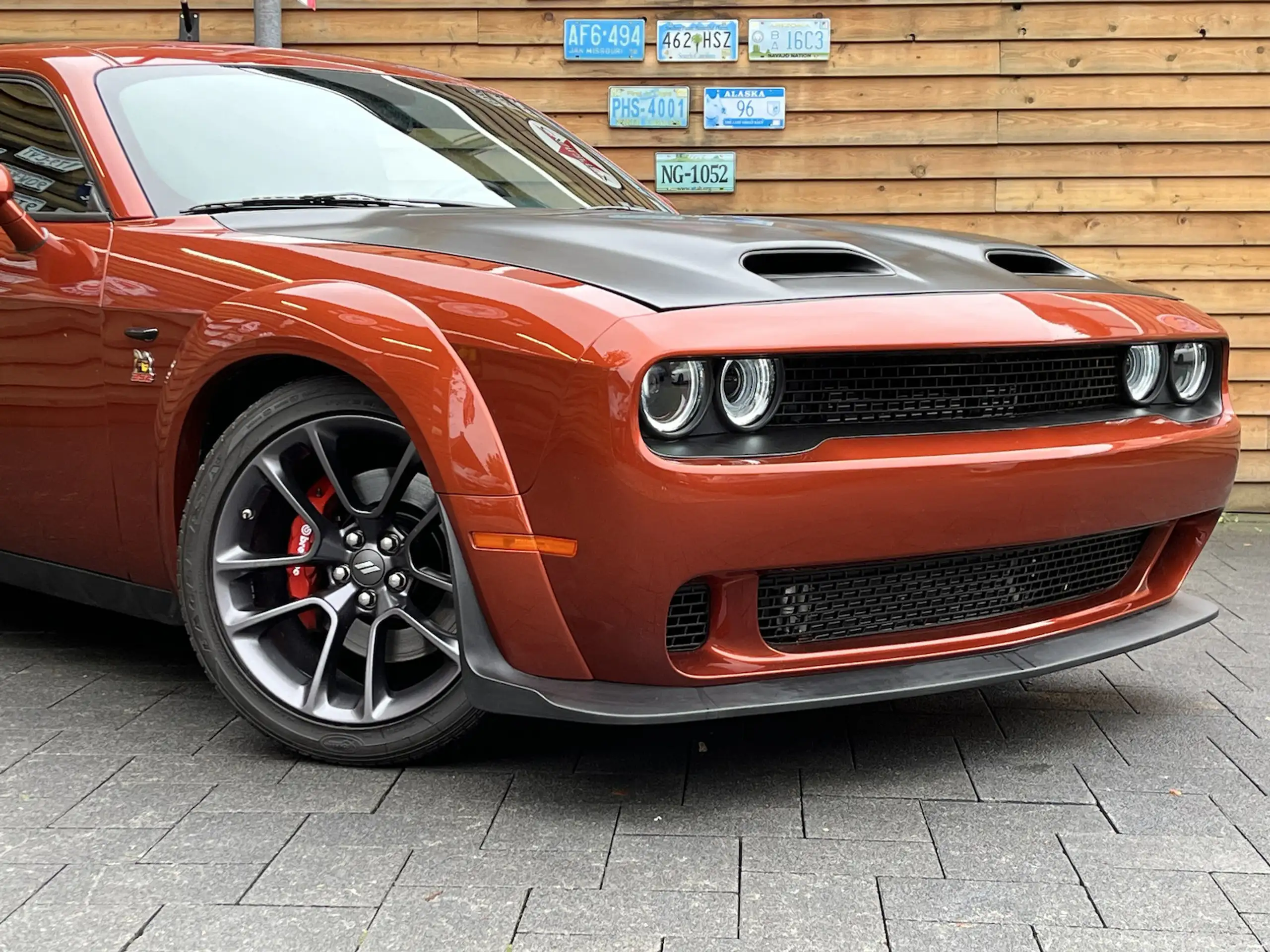 Dodge - Challenger