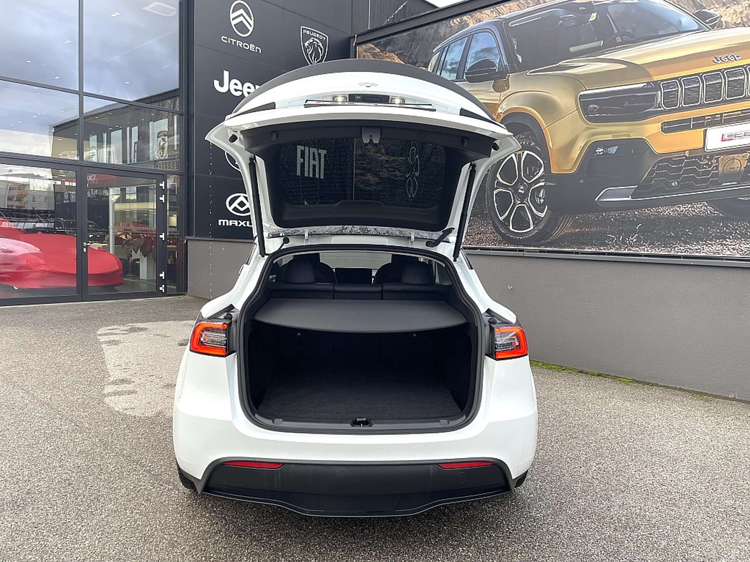 Tesla - Model Y