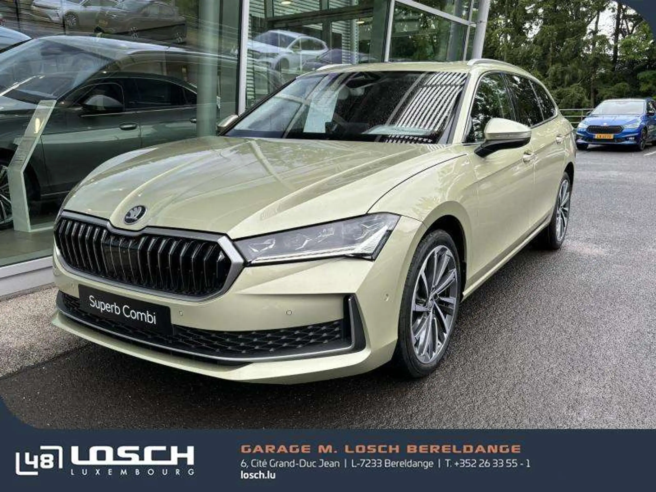 Skoda - Superb