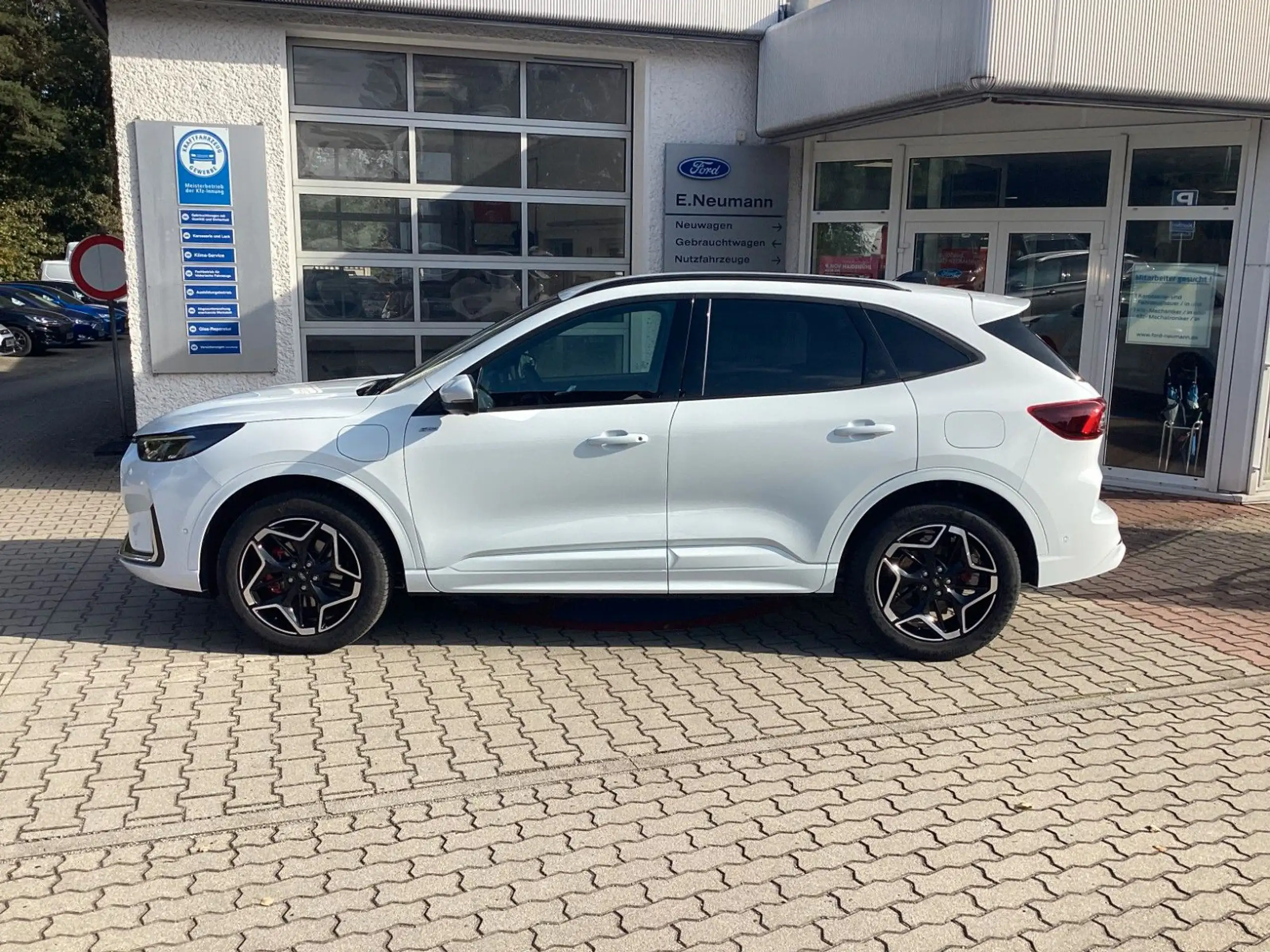 Ford - Kuga