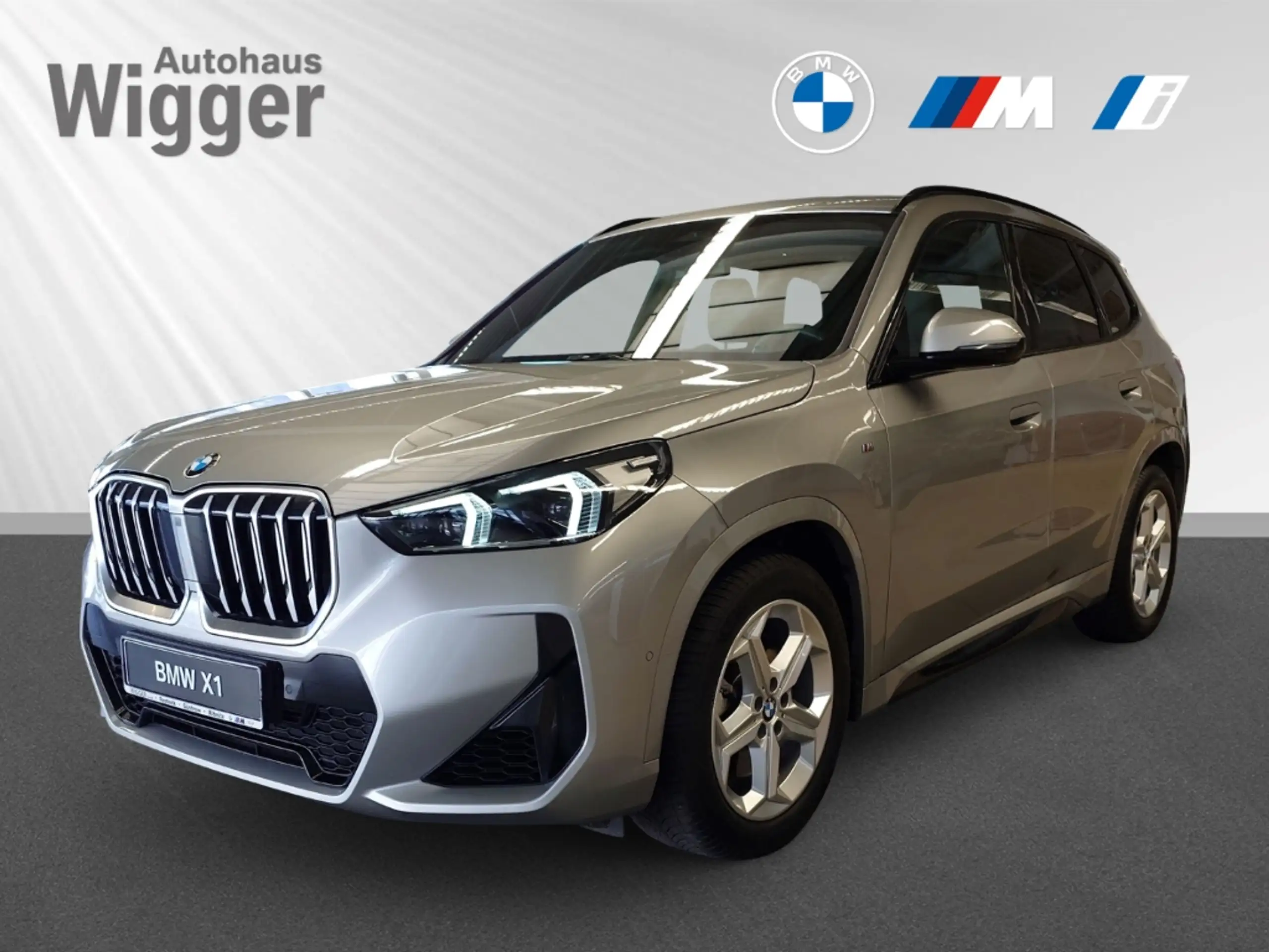 BMW - X1