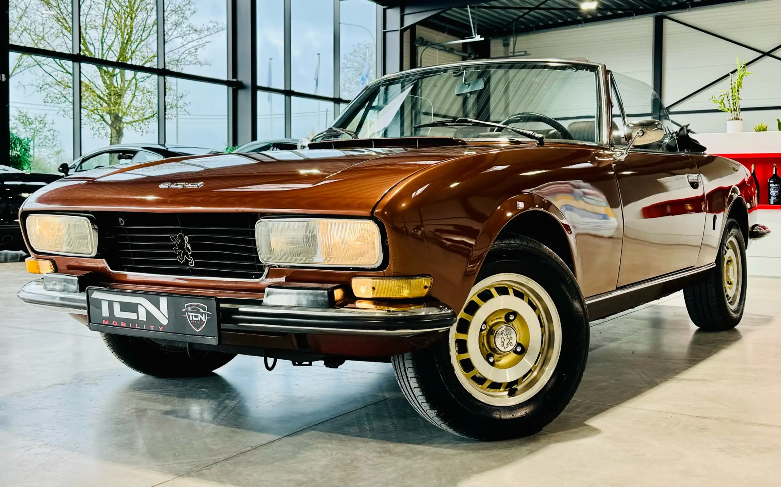 Peugeot - 504