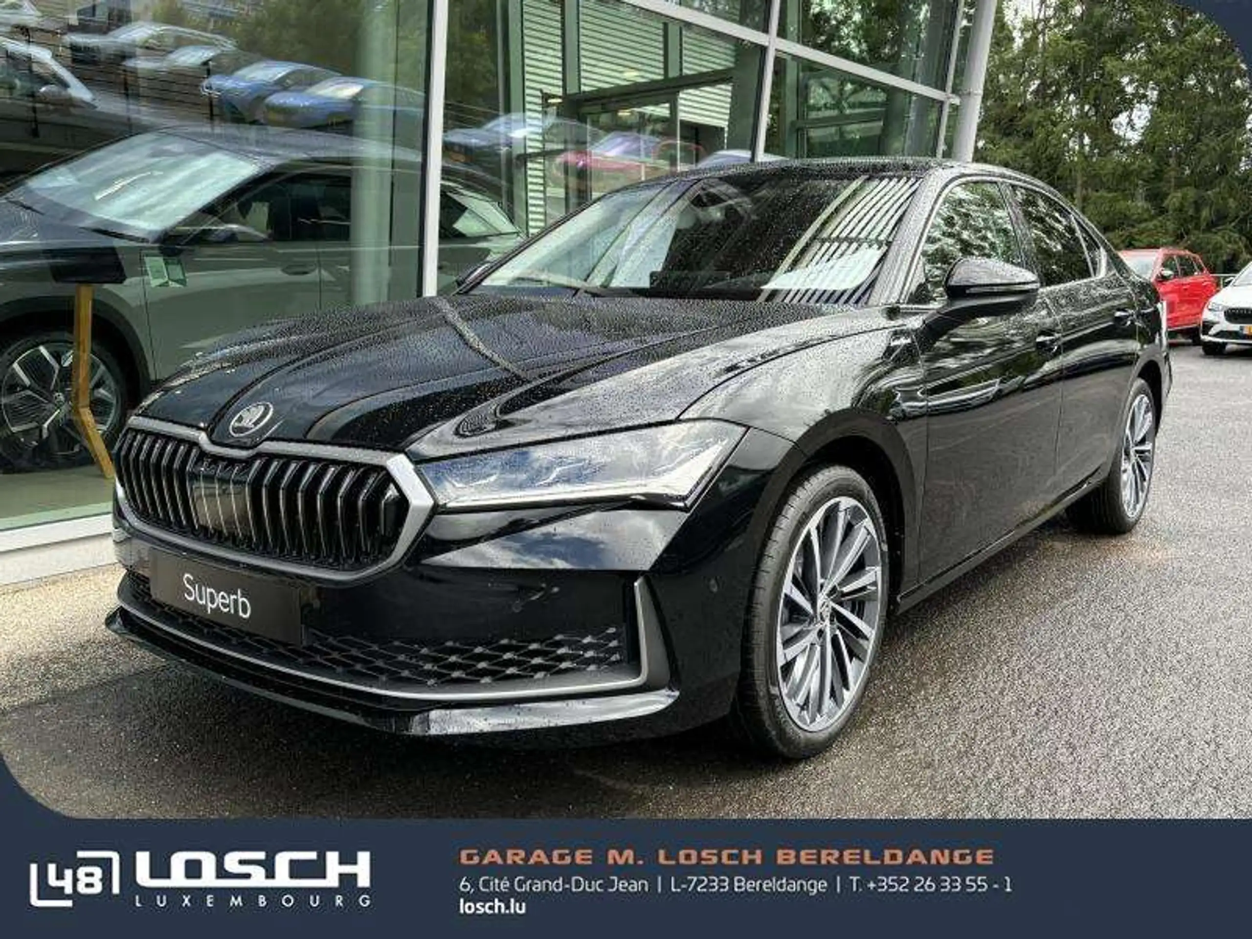 Skoda - Superb