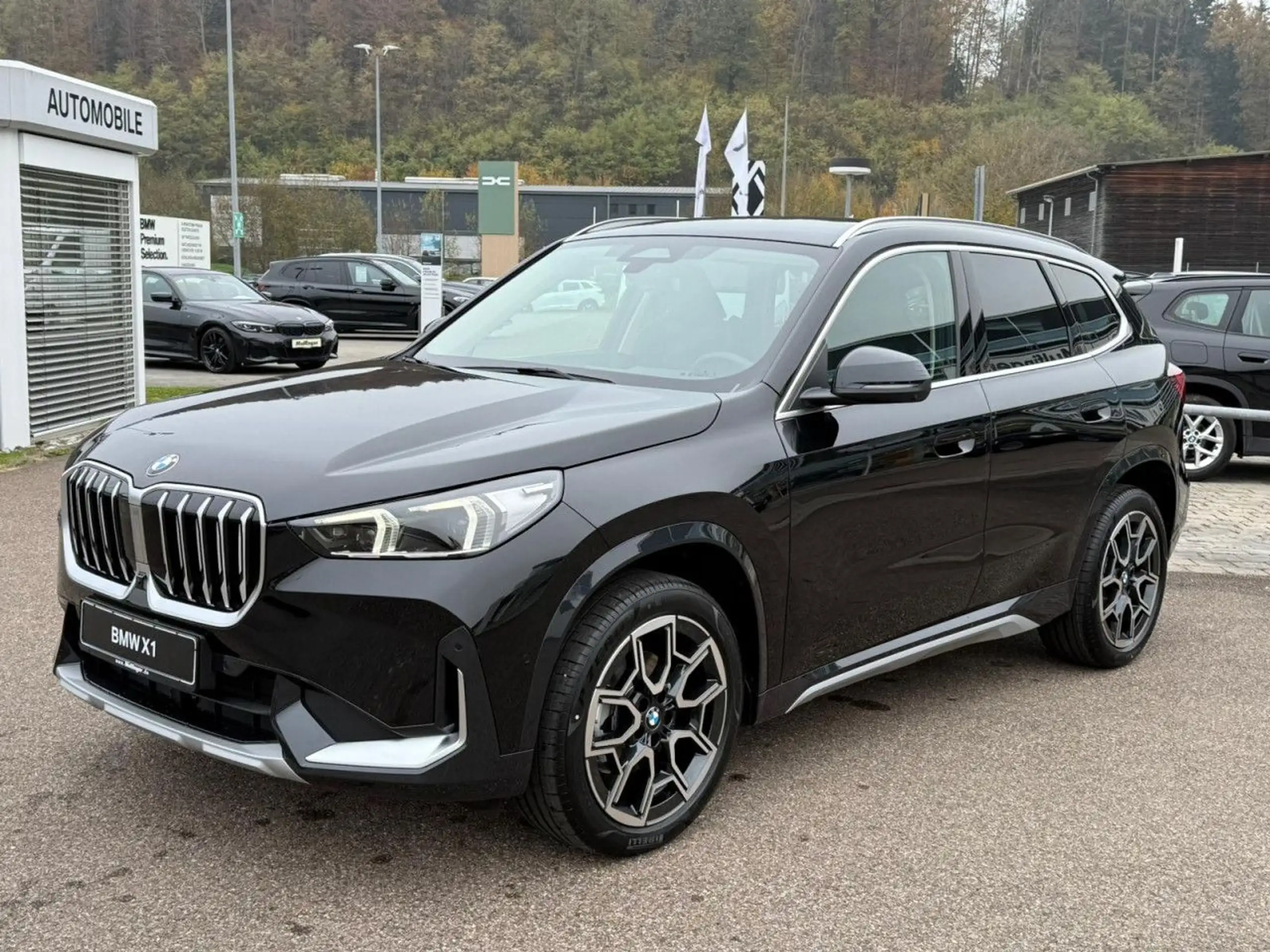 BMW - X1