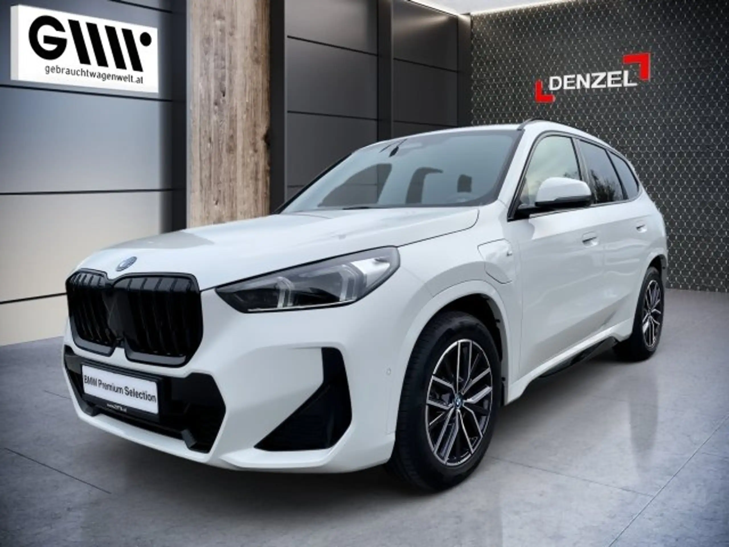 BMW - X1