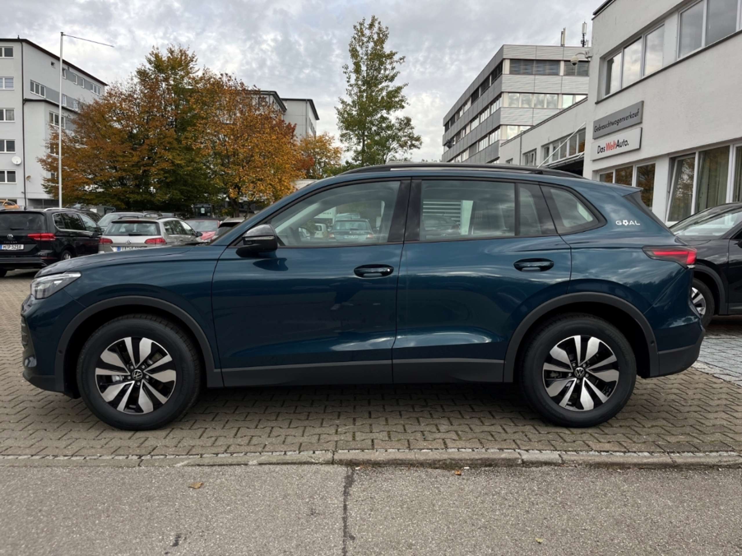 Volkswagen - Tiguan