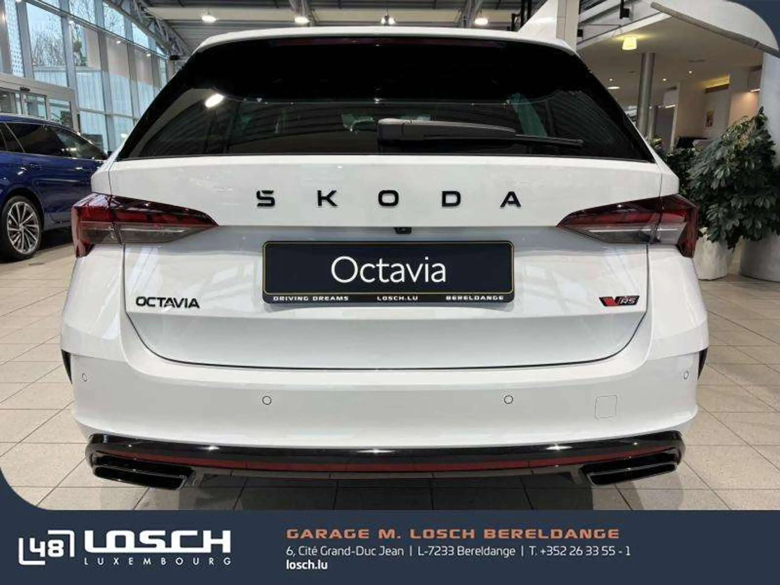 Skoda - Octavia