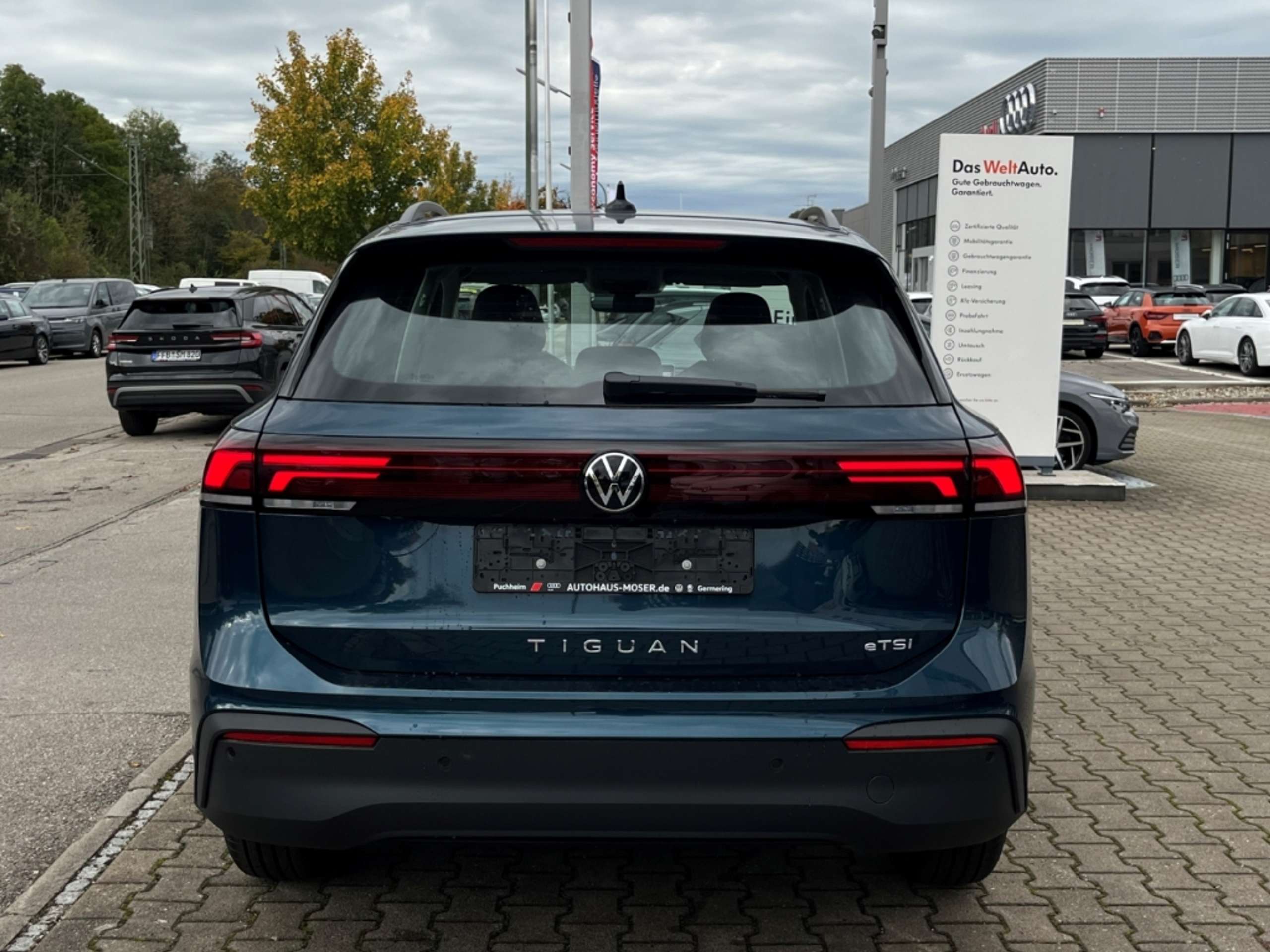 Volkswagen - Tiguan