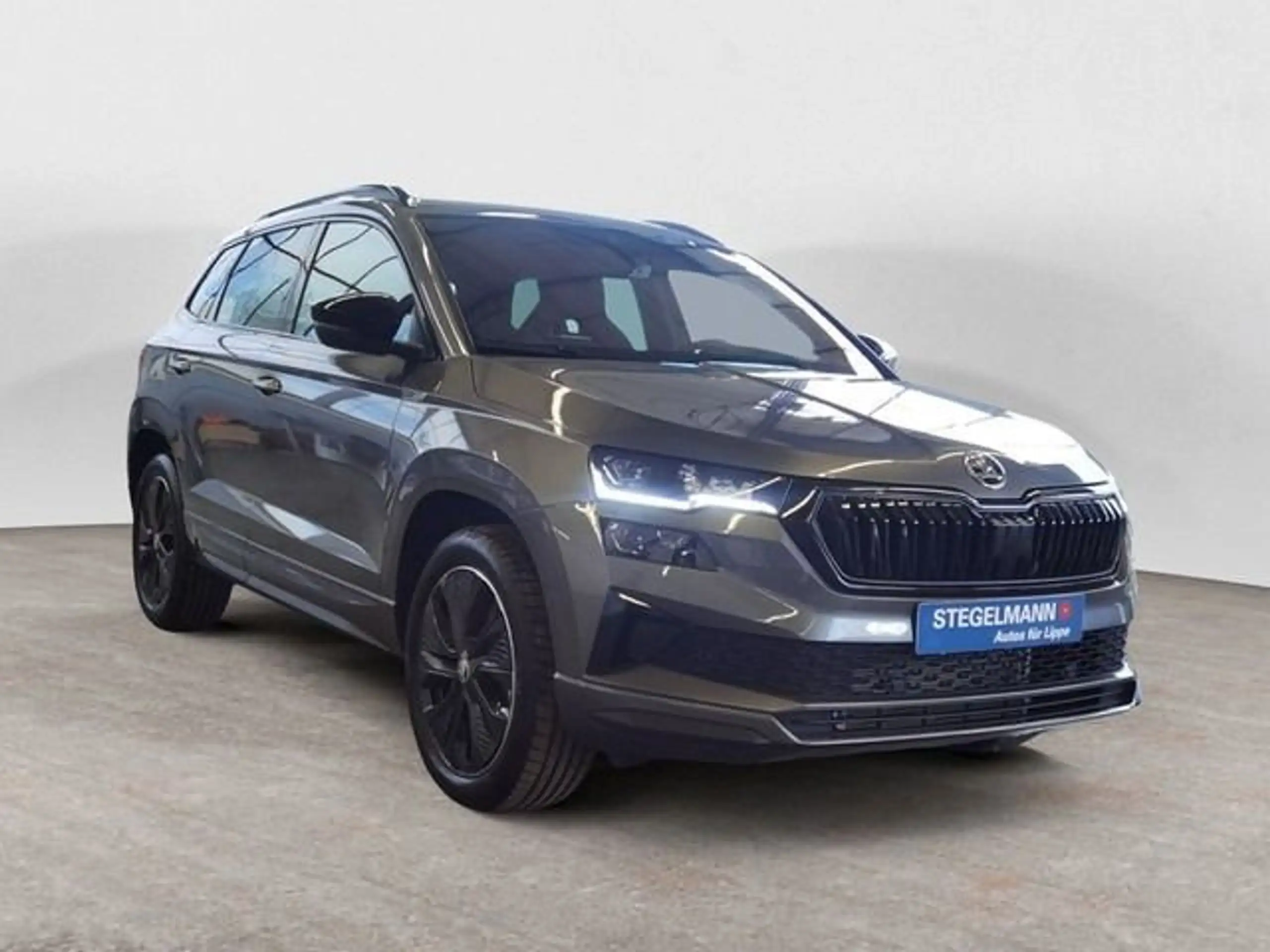 Skoda - Karoq