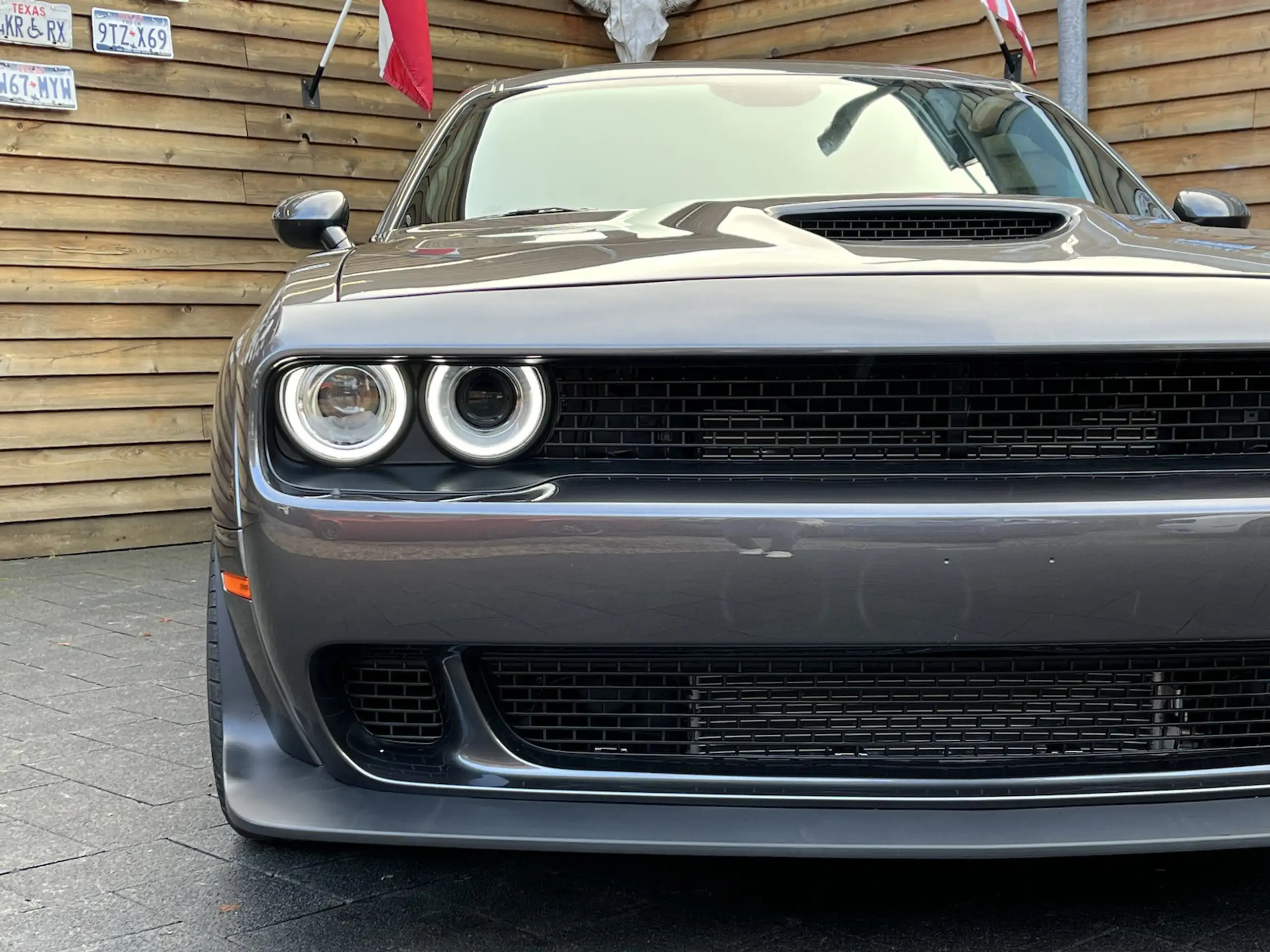 Dodge - Challenger