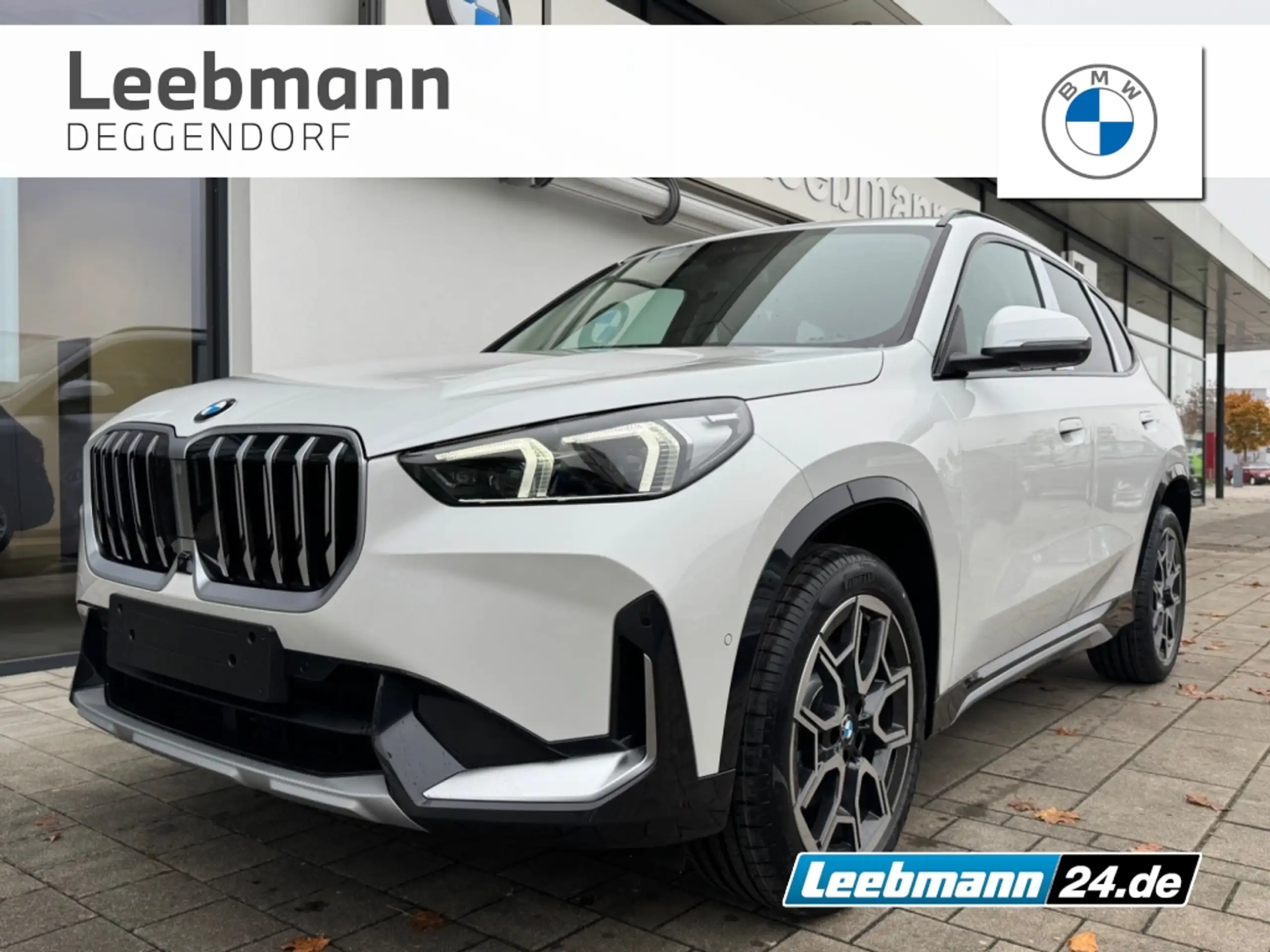 BMW - X1