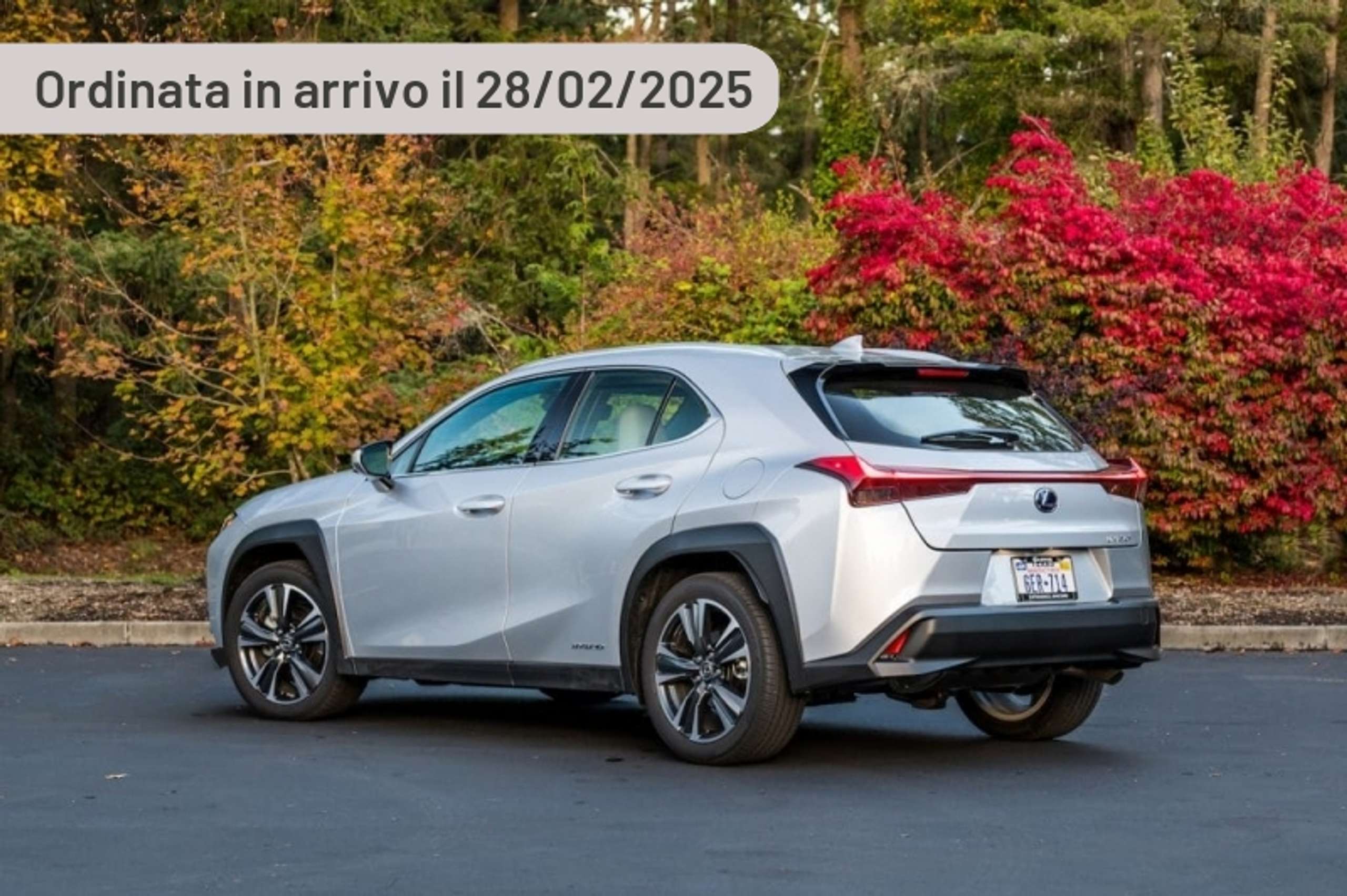 Lexus - UX 300h