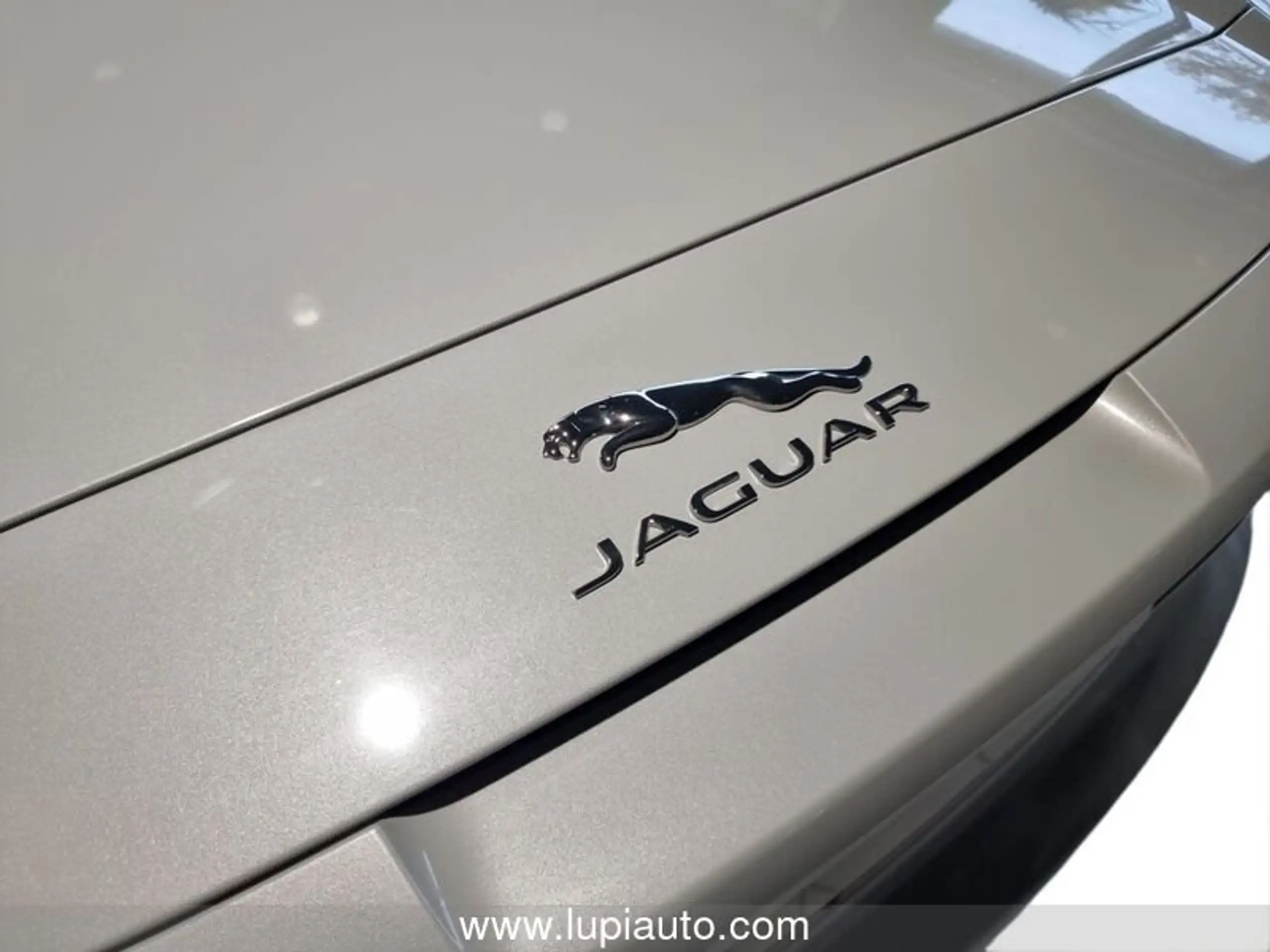 Jaguar - F-Type