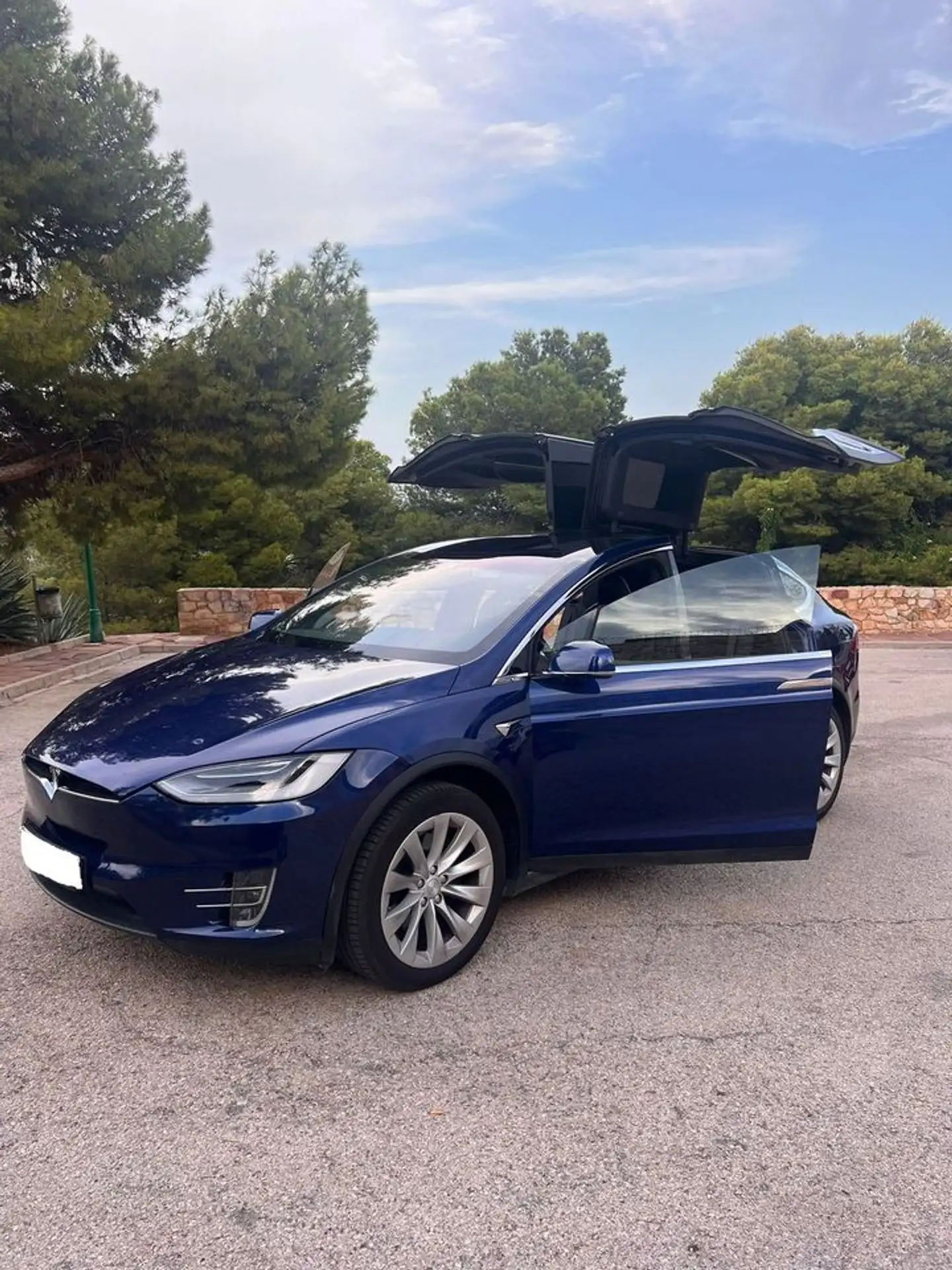 Tesla - Model X