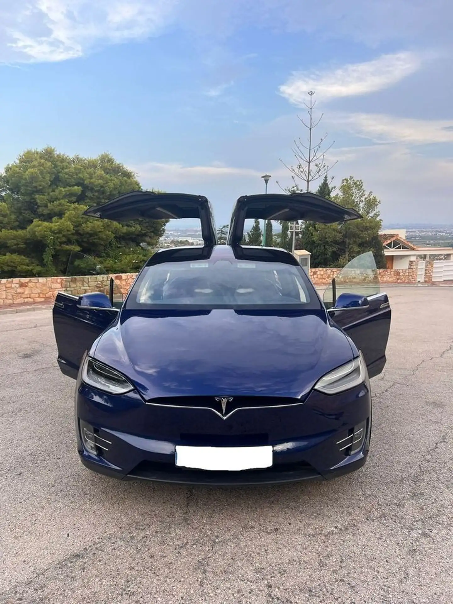 Tesla - Model X